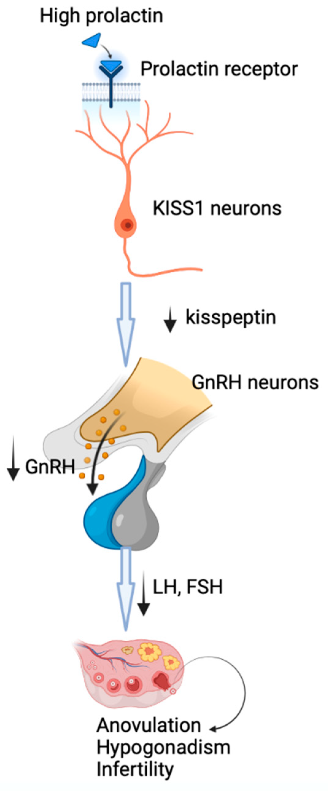 Pharmaceuticals 16 00122 g001 Pharmaceuticals 16 00122 g001