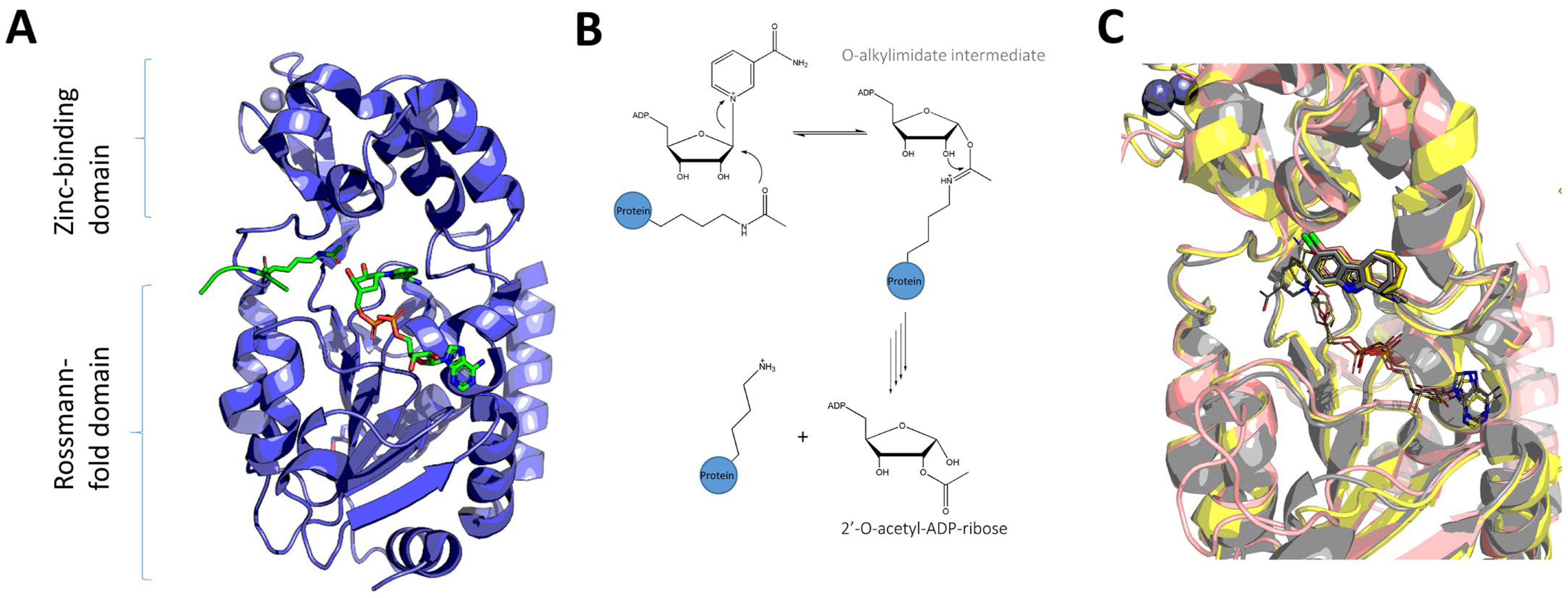 Pharmaceuticals 16 00127 g001
