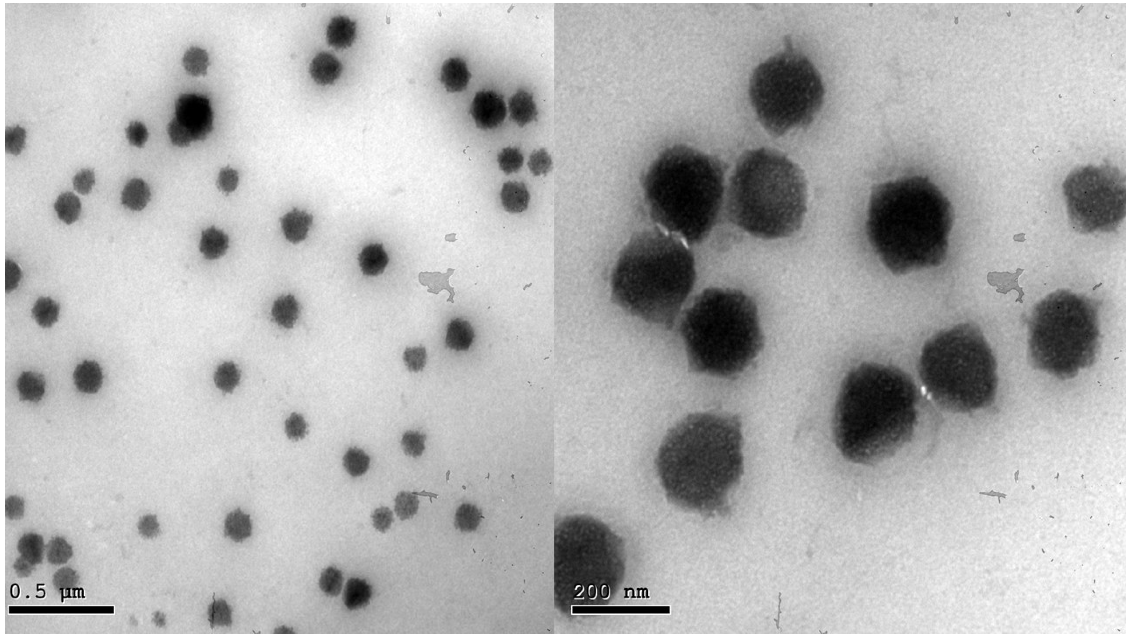 Pharmaceuticals 16 00128 g002 Pharmaceuticals 16 00128 g002