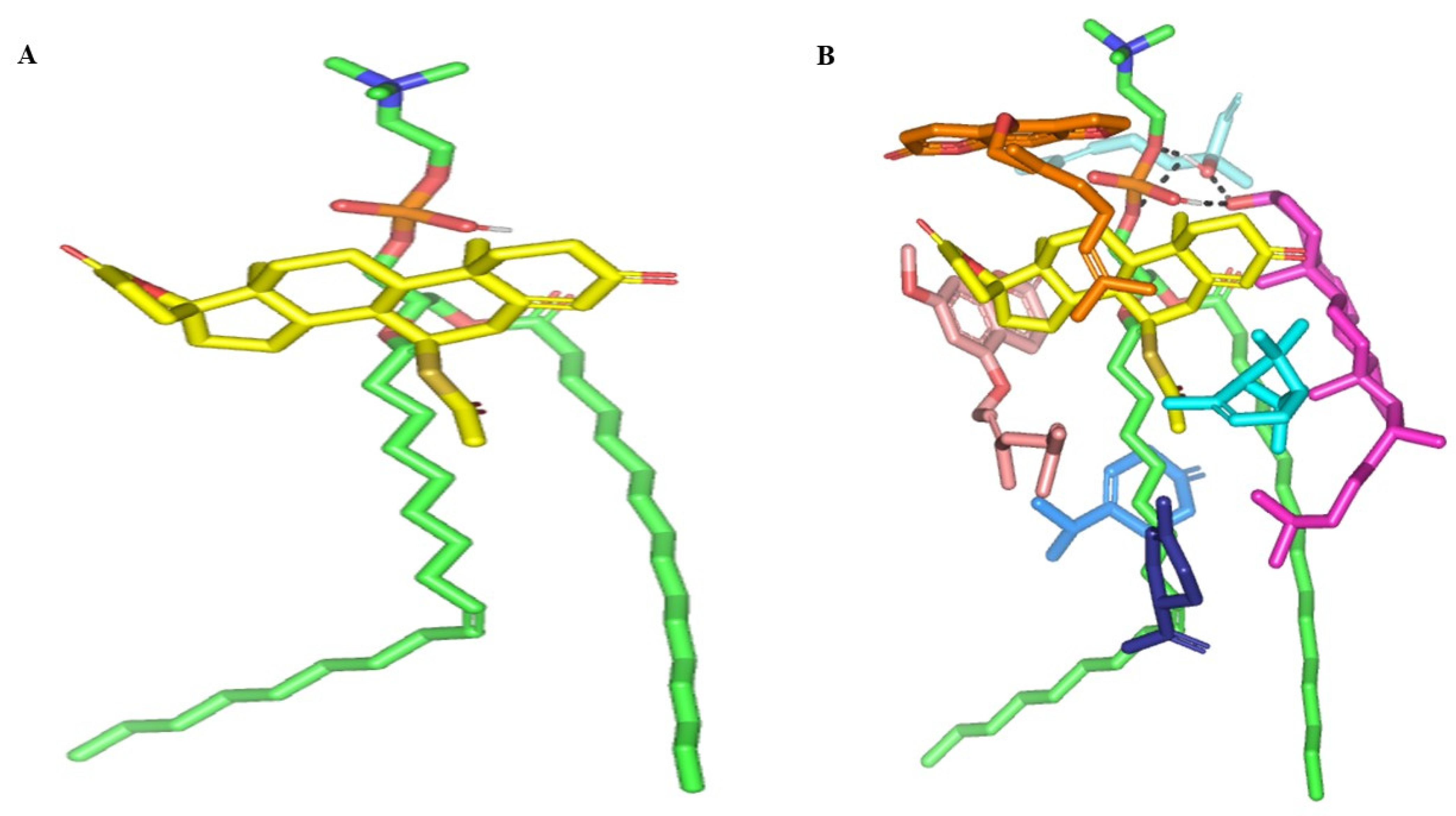 Pharmaceuticals 16 00128 g003 Pharmaceuticals 16 00128 g003