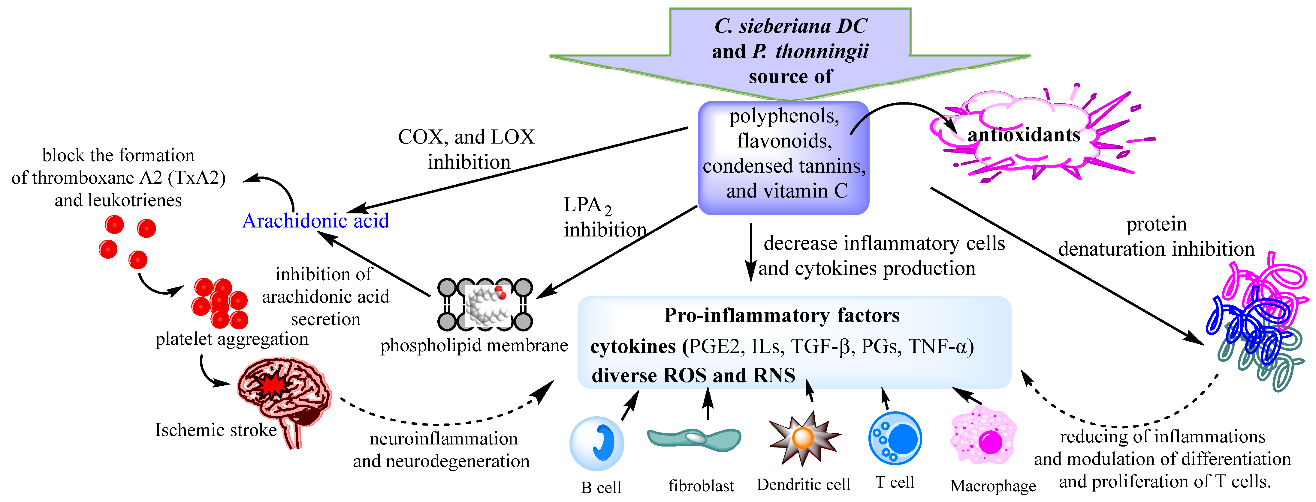 Pharmaceuticals 16 00133 g002