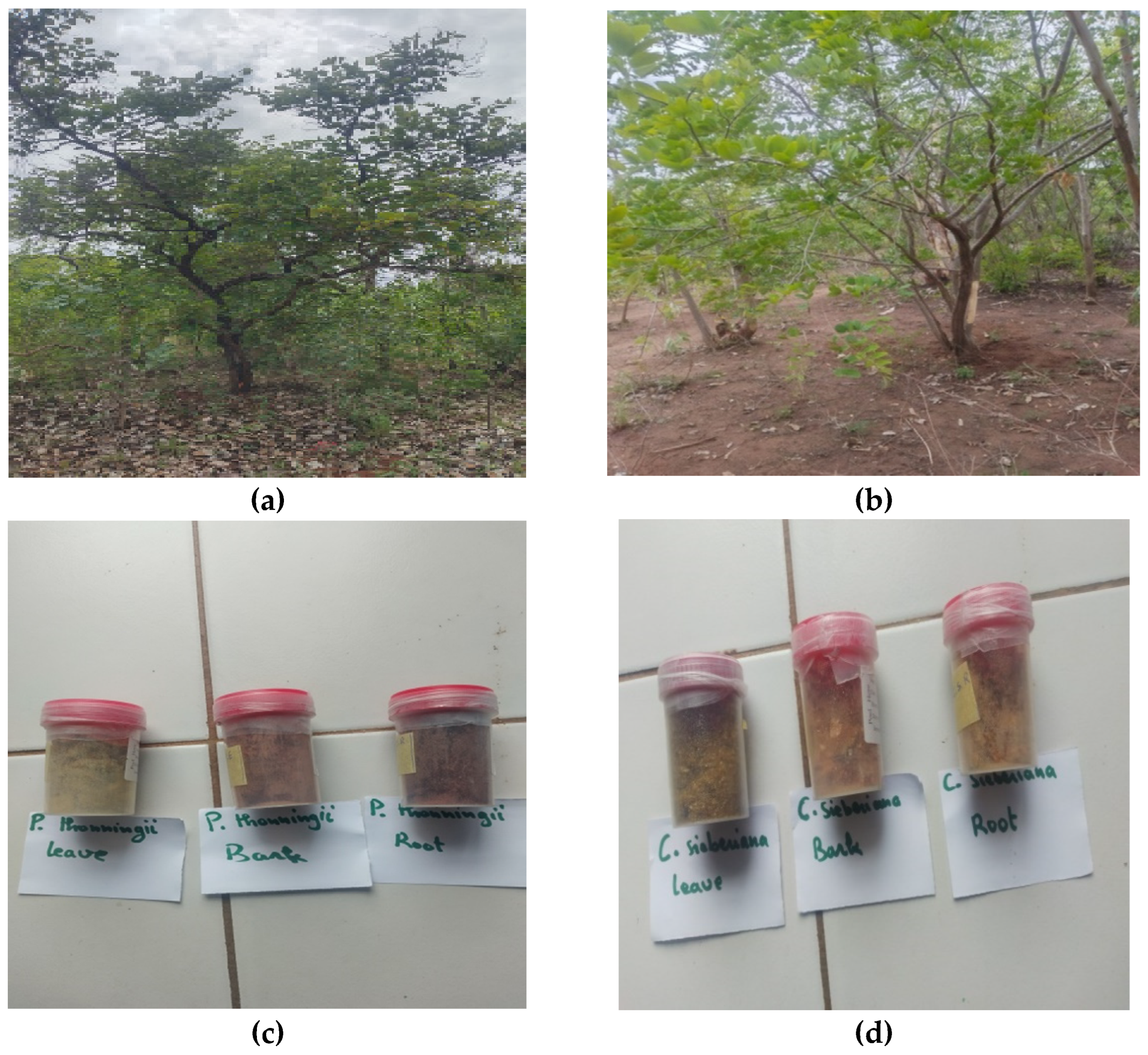 Pharmaceuticals 16 00133 g003