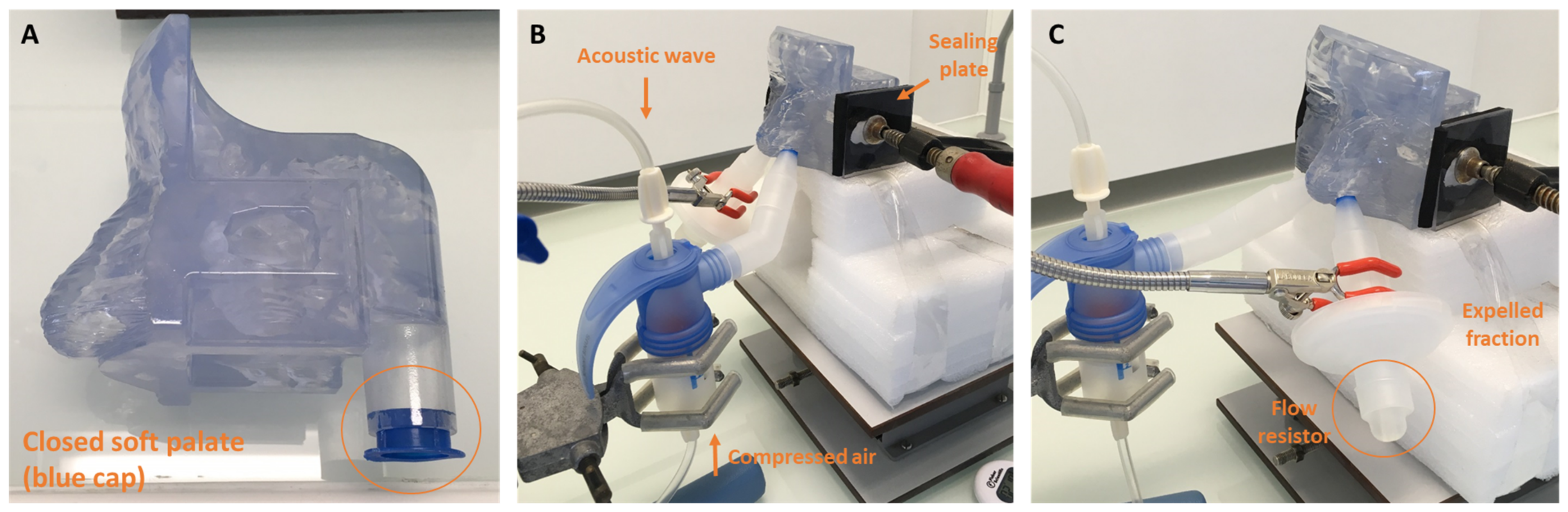 Pharmaceuticals 16 00135 g006 Pharmaceuticals 16 00135 g006