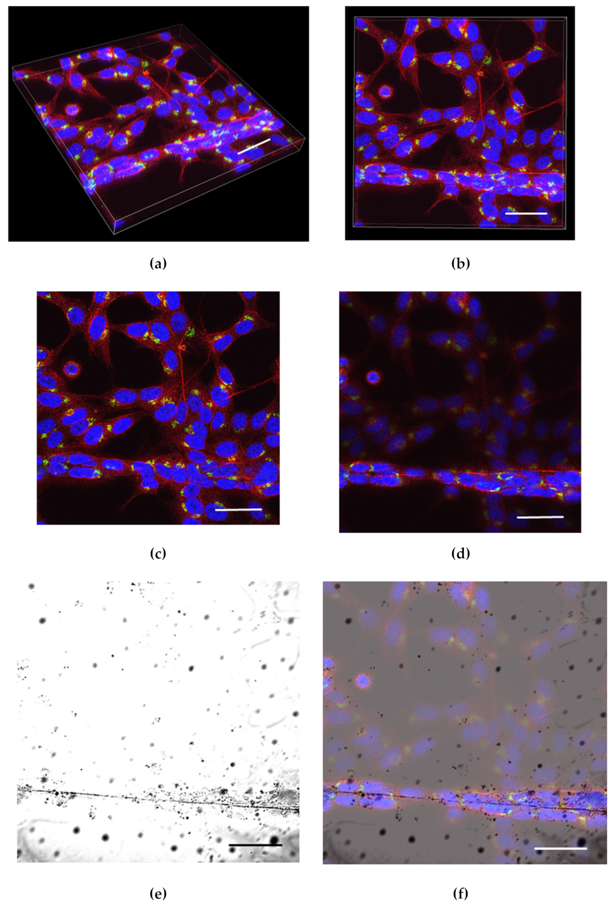 Pharmaceuticals 16 00138 g001