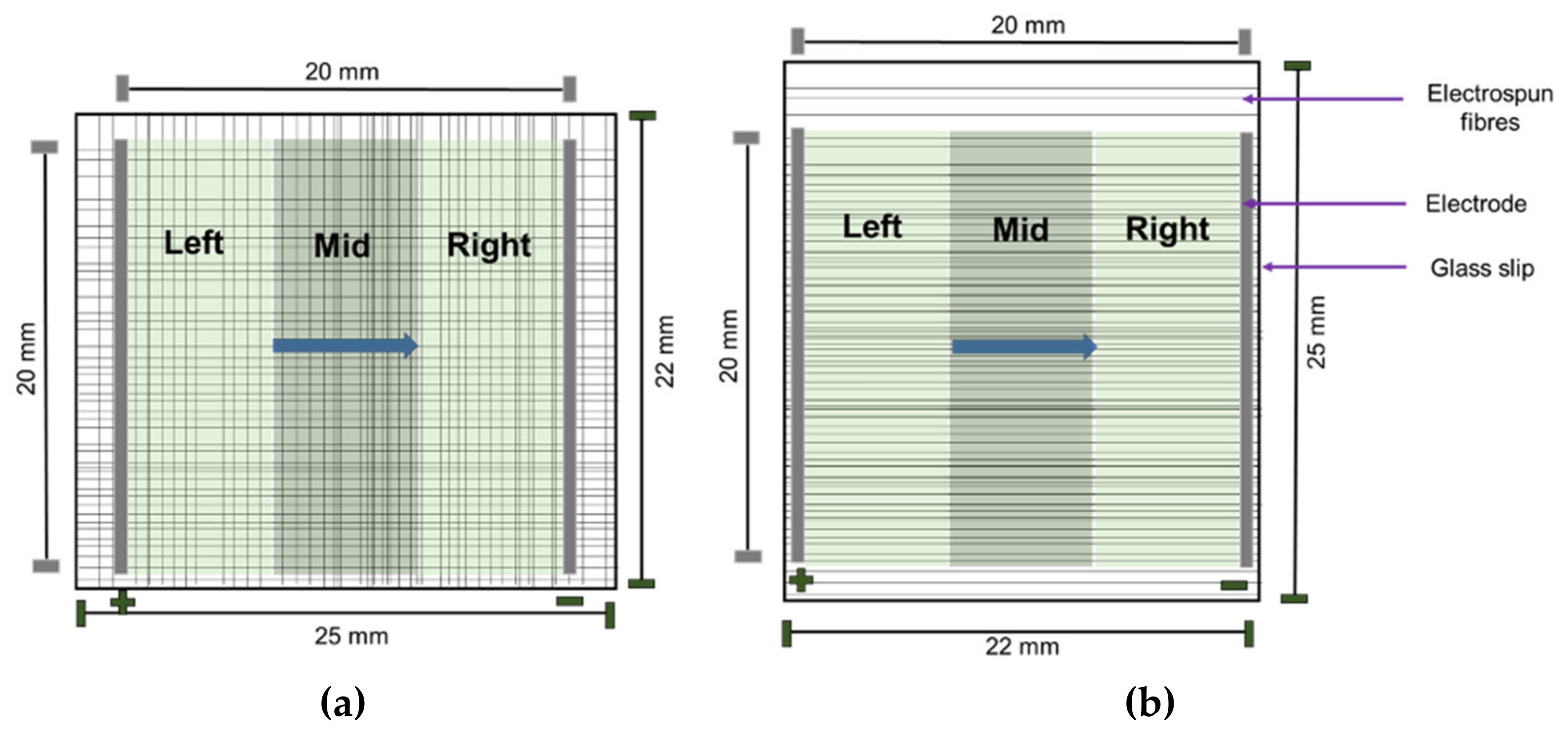 Pharmaceuticals 16 00138 g003