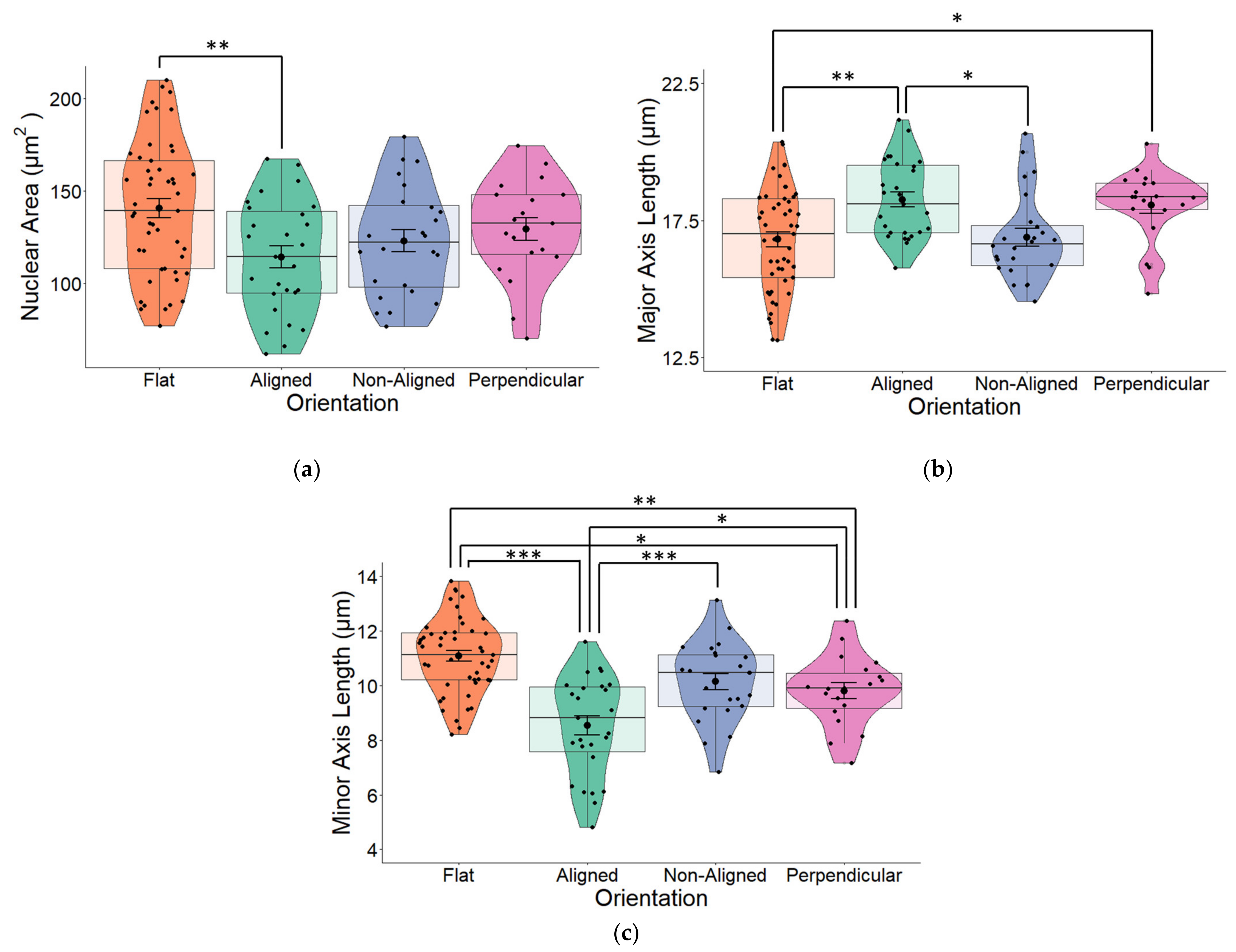 Pharmaceuticals 16 00138 g004