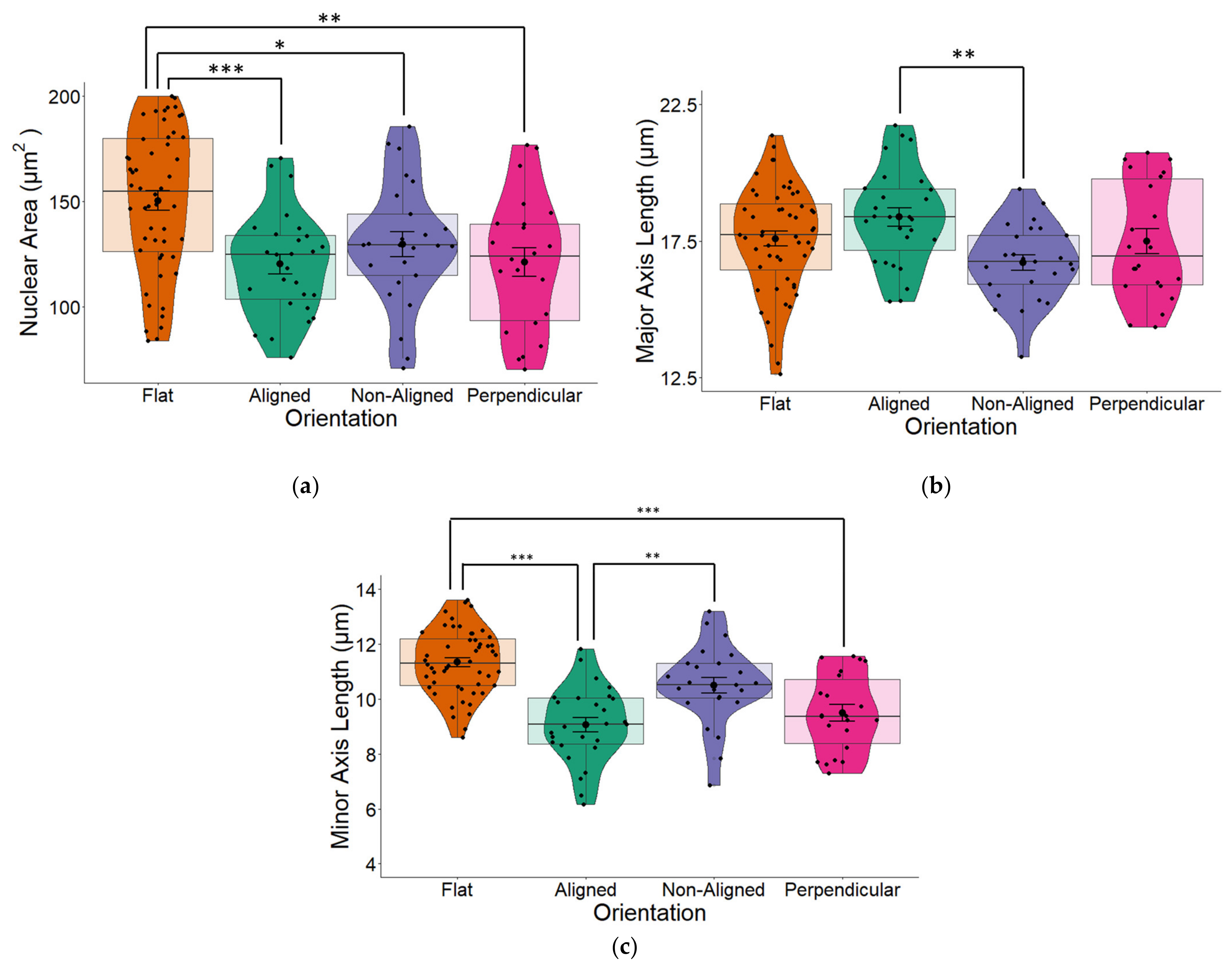 Pharmaceuticals 16 00138 g012