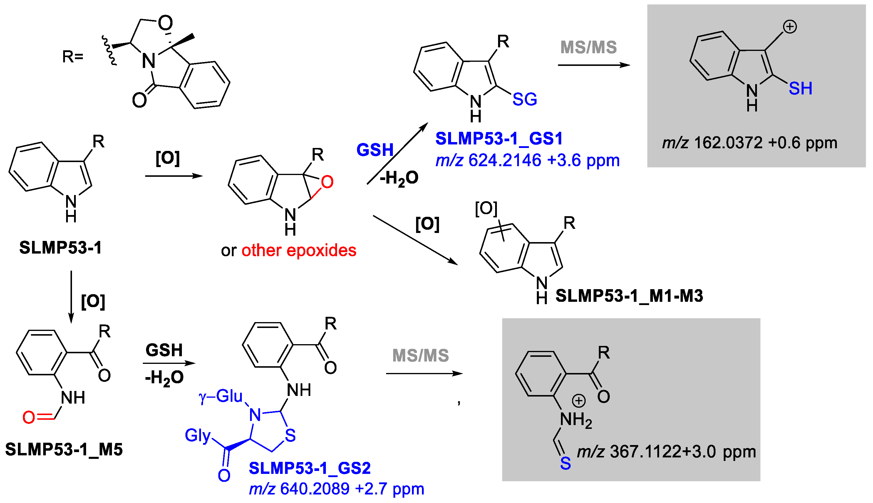 Pharmaceuticals 16 00146 g004