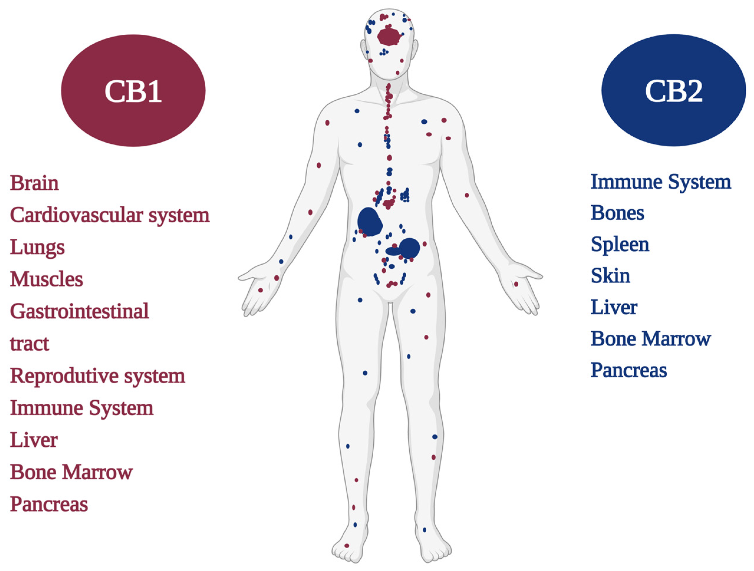 Pharmaceuticals 16 00148 g001 Pharmaceuticals 16 00148 g001
