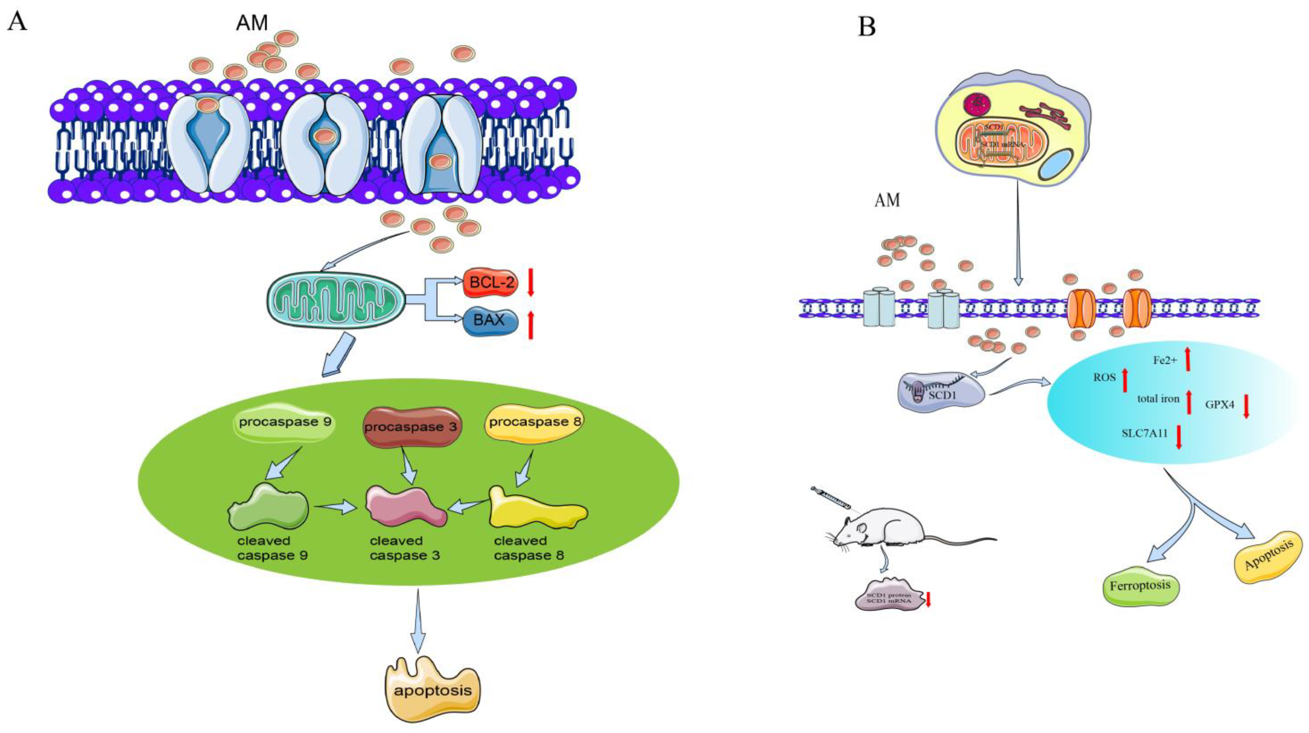 Pharmaceuticals 16 00150 g003