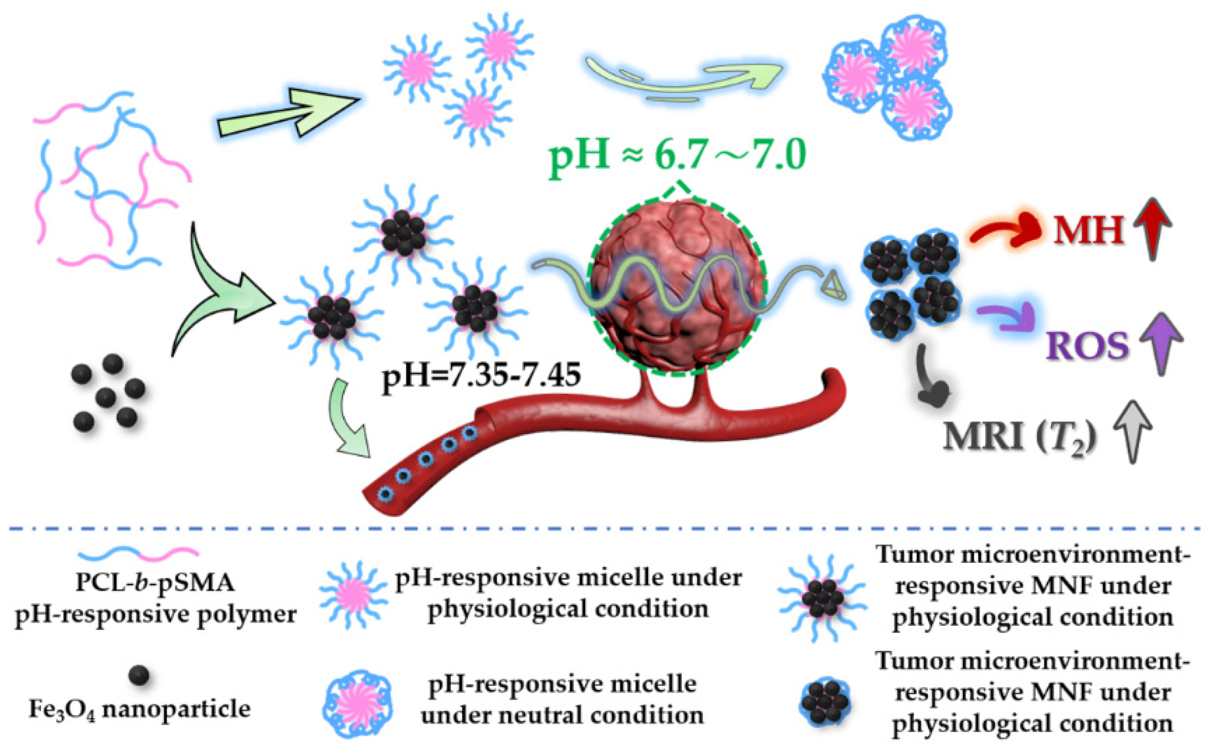 Pharmaceuticals 16 00166 g001