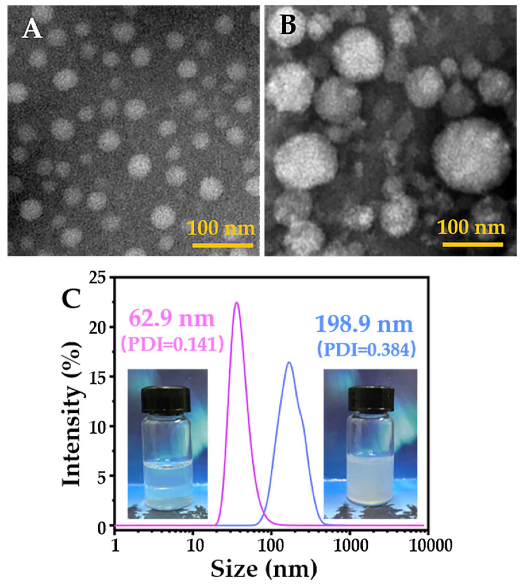 Pharmaceuticals 16 00166 g003