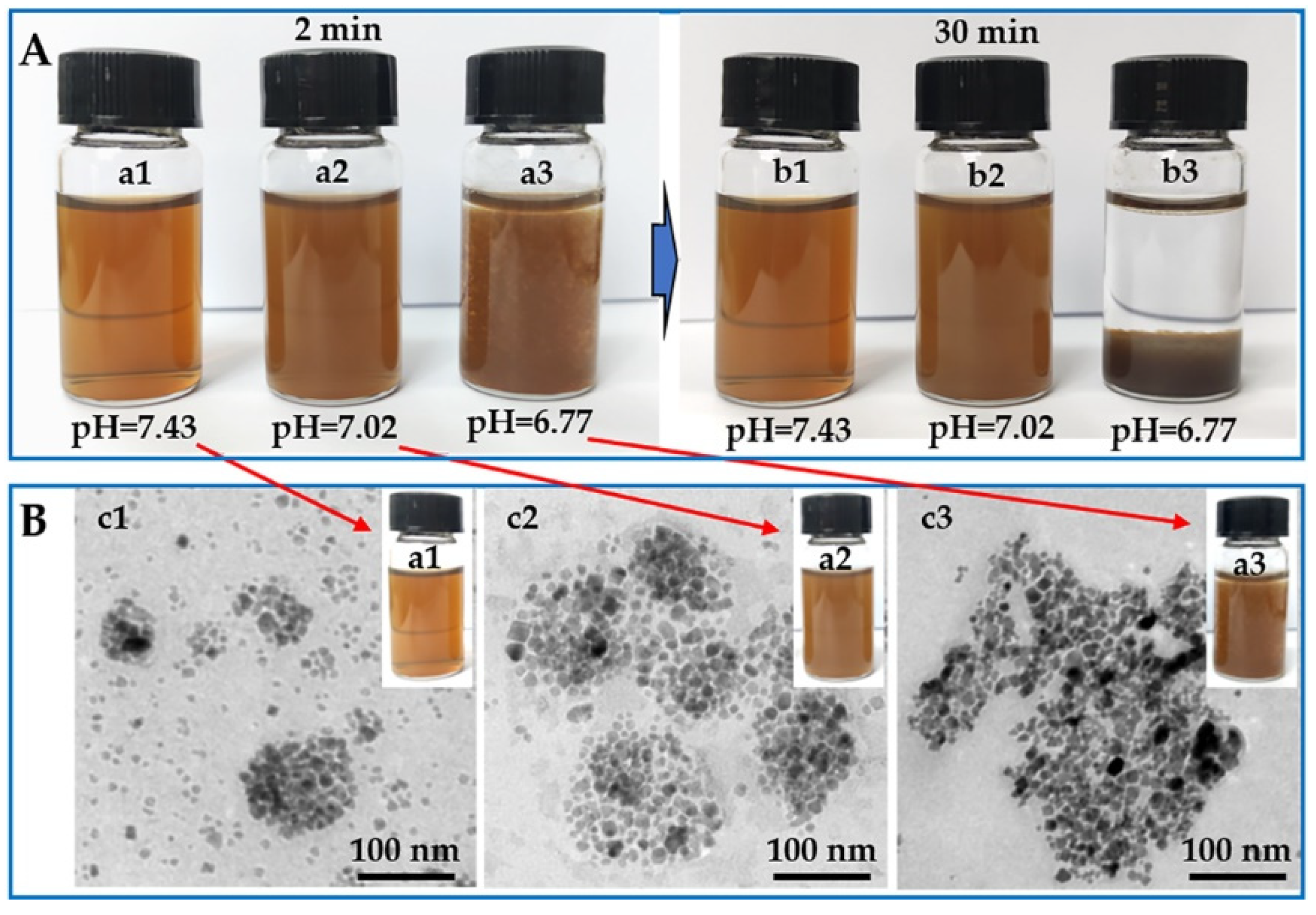 Pharmaceuticals 16 00166 g005