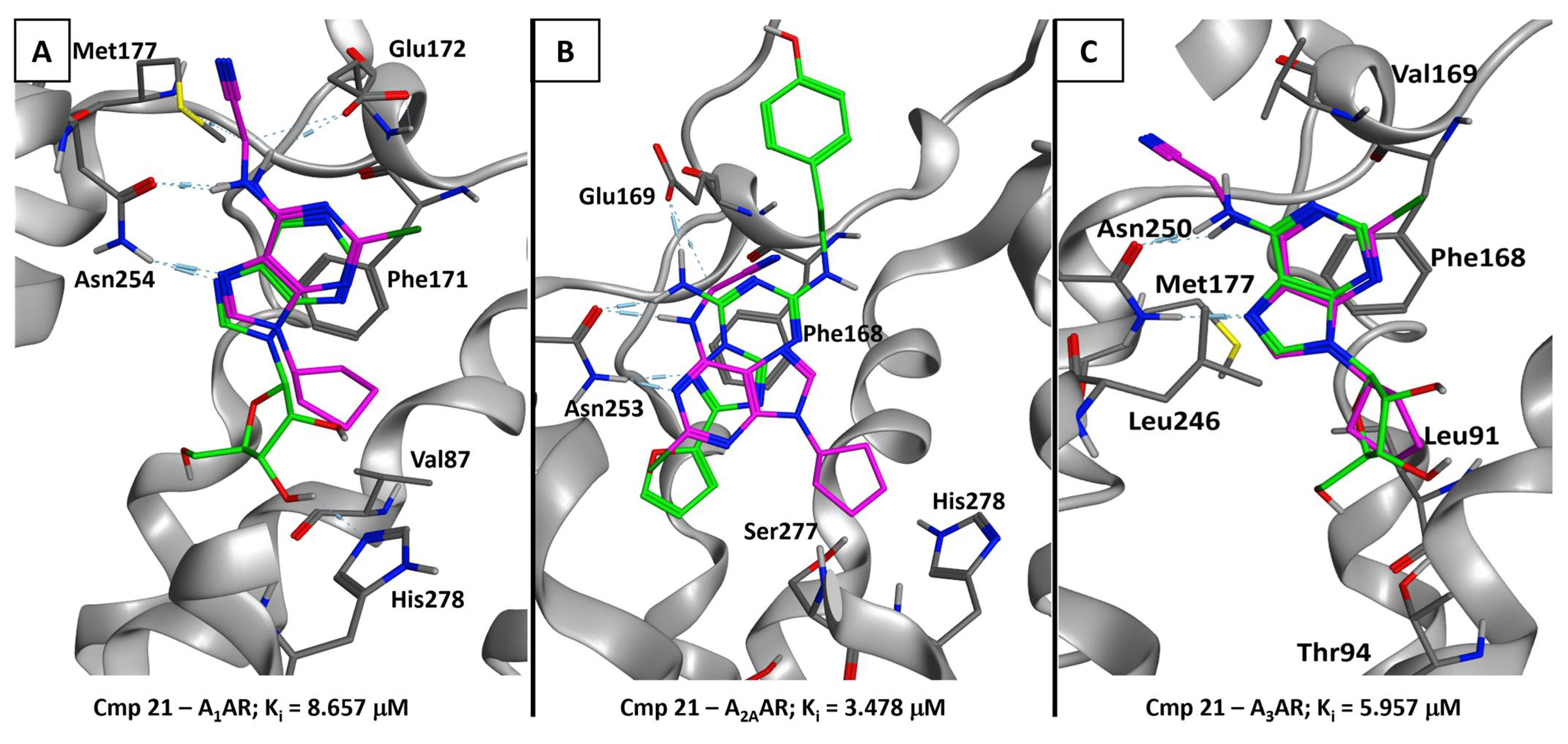 Pharmaceuticals 16 00167 g005