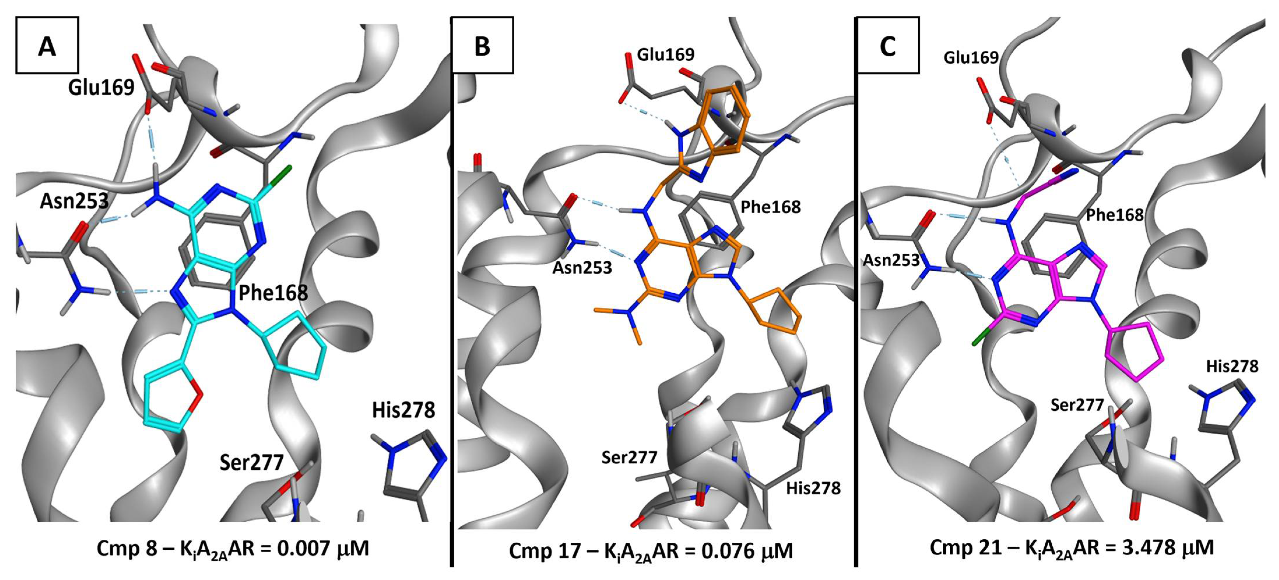 Pharmaceuticals 16 00167 g006