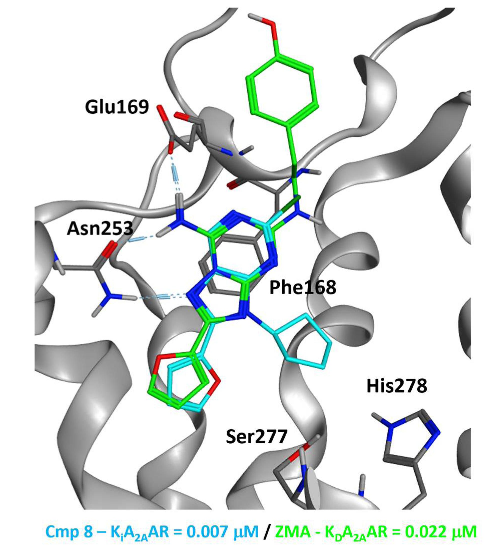 Pharmaceuticals 16 00167 g007