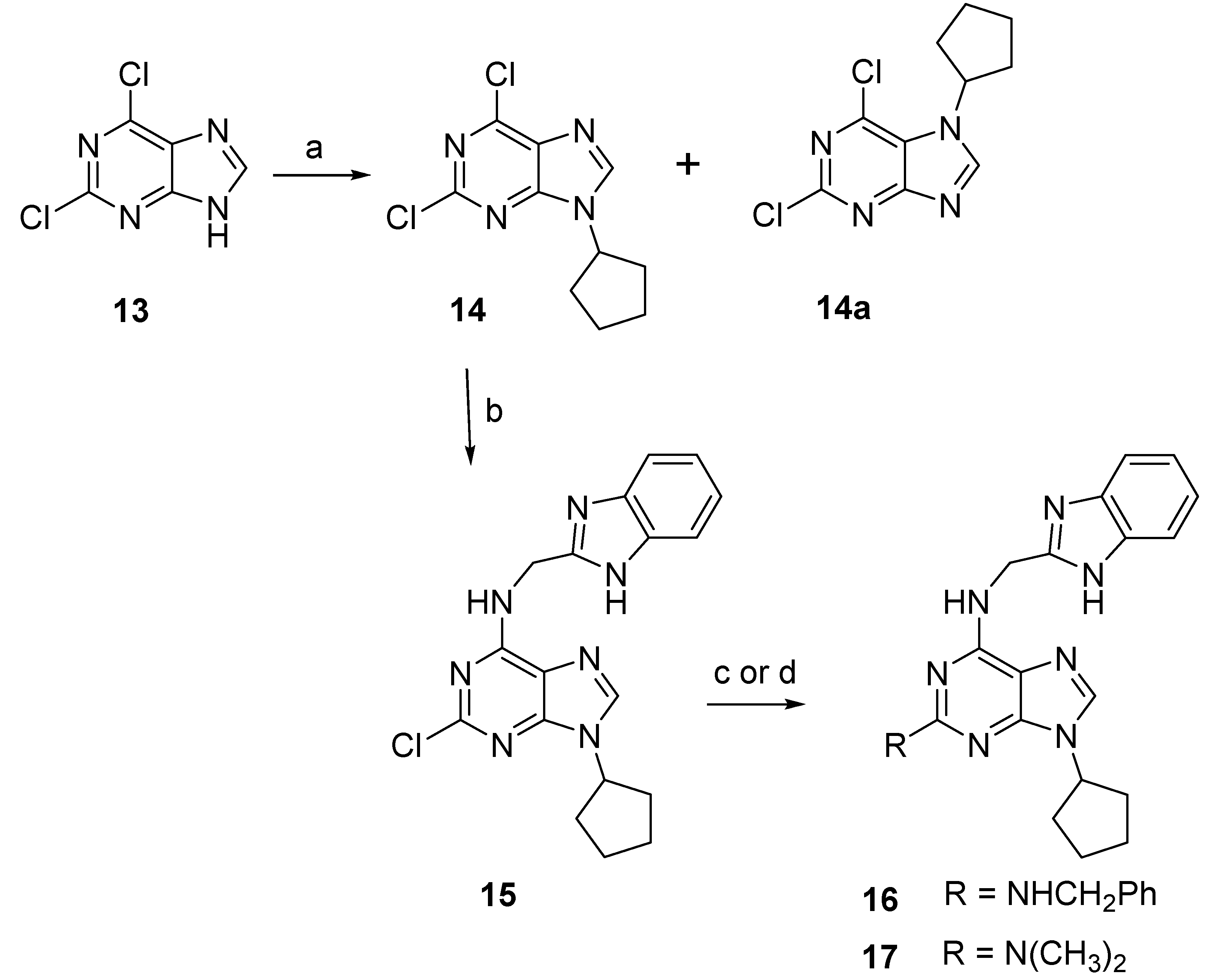 Pharmaceuticals 16 00167 sch004