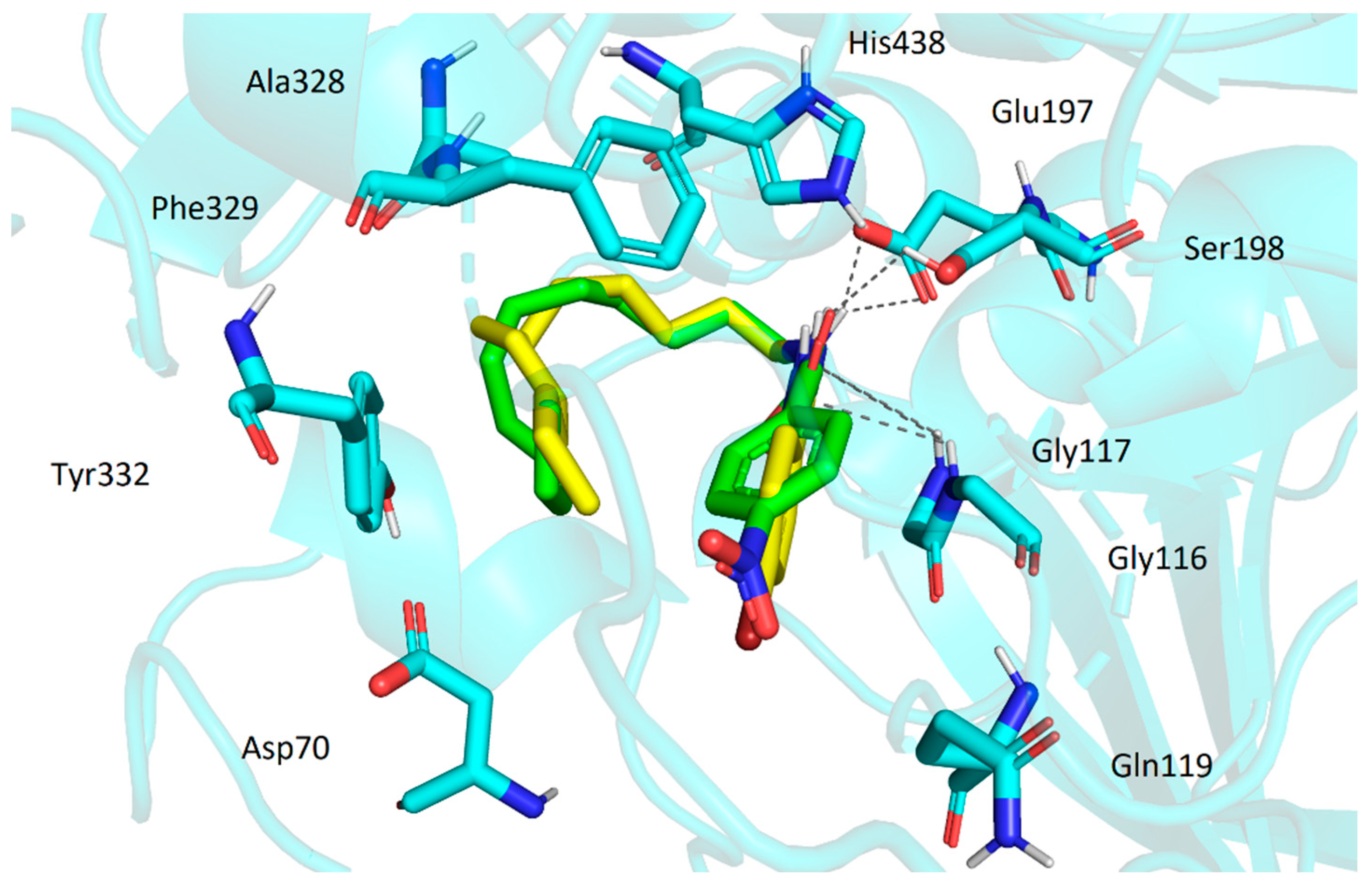 Pharmaceuticals 16 00172 g003