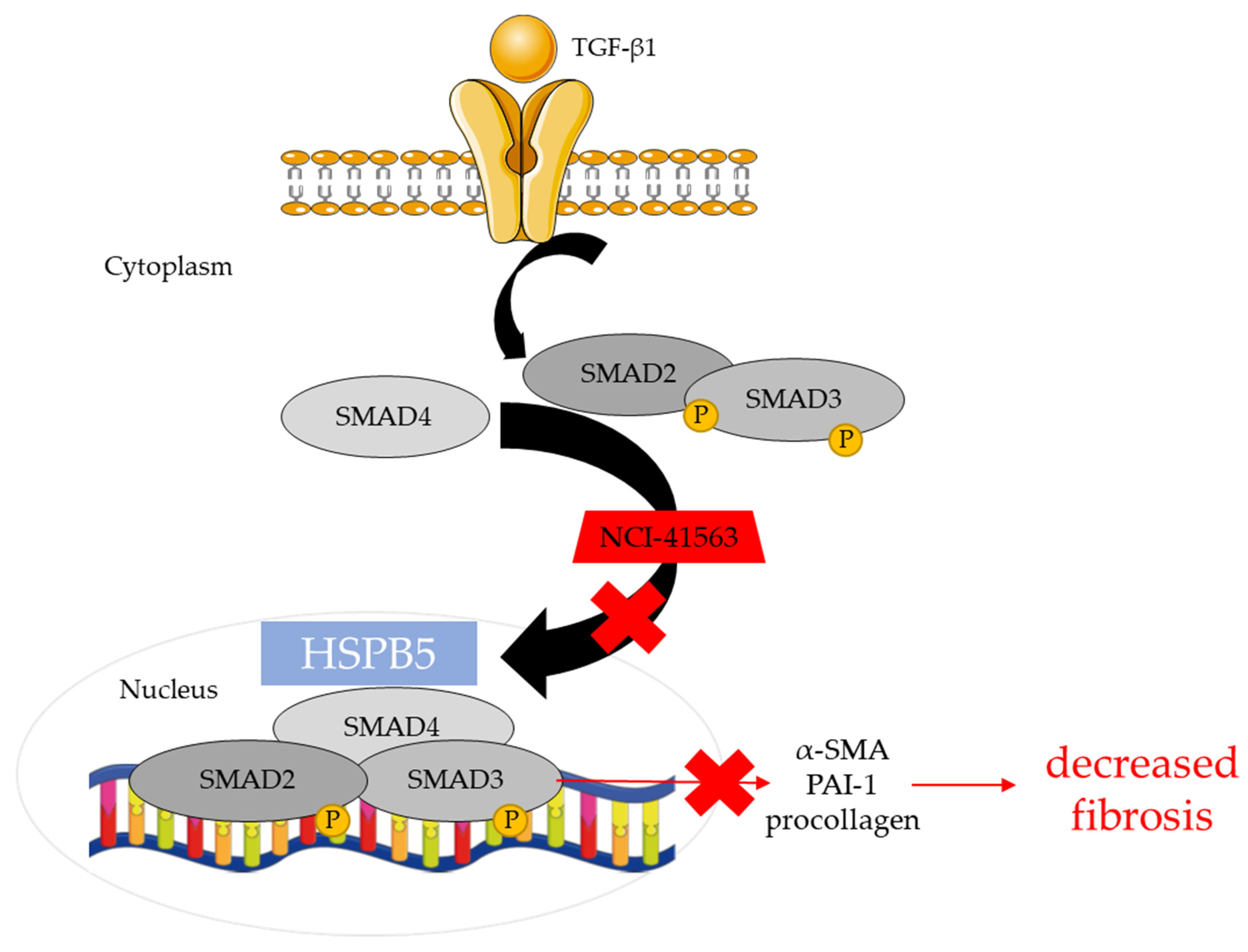 Pharmaceuticals 16 00177 g005 Pharmaceuticals 16 00177 g005