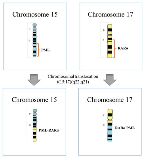 Pharmaceuticals 16 00180 g001