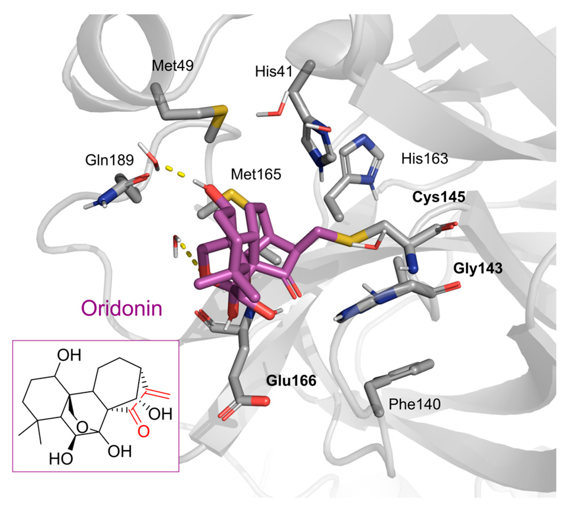 Pharmaceuticals 16 00190 g001