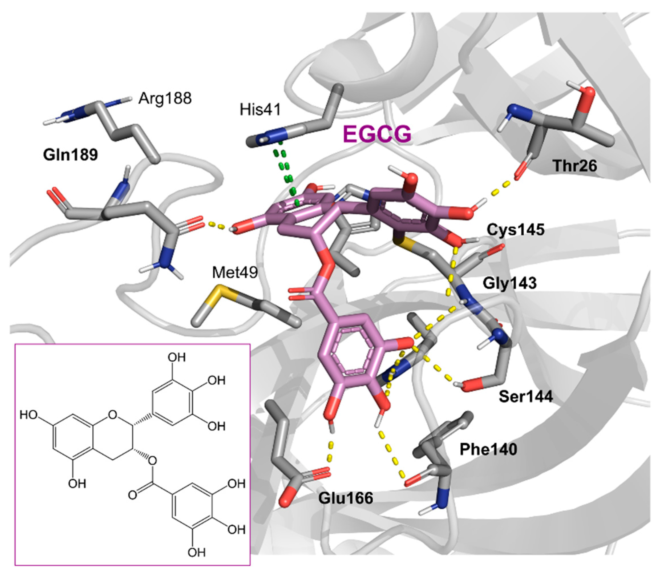 Pharmaceuticals 16 00190 g004