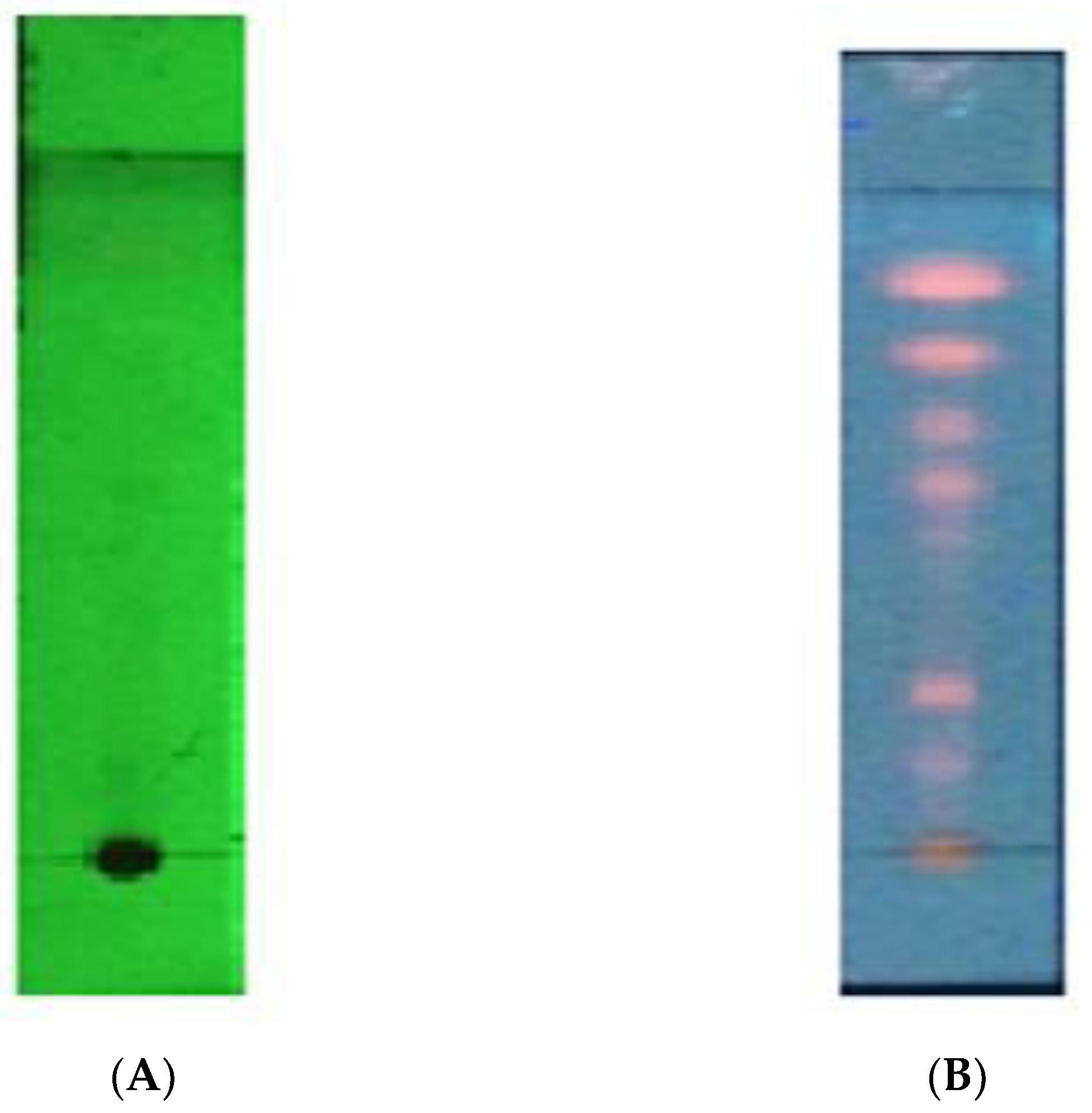 Pharmaceuticals 16 00191 g001