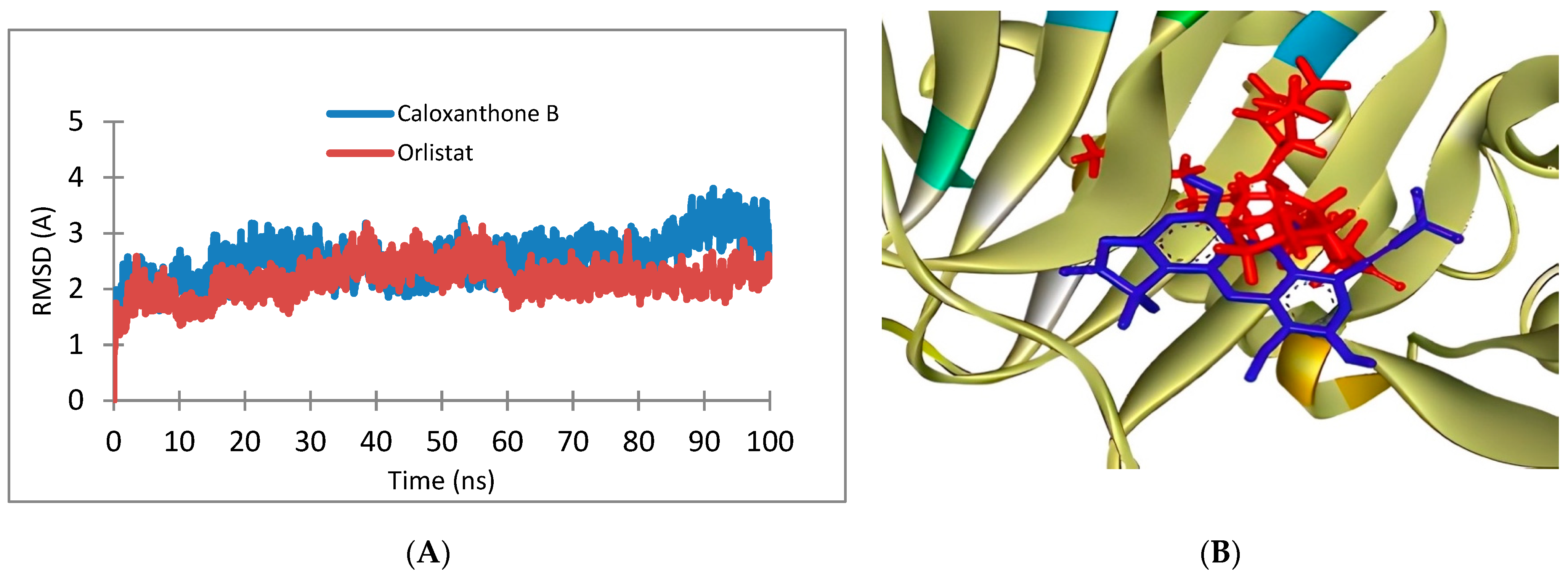 Pharmaceuticals 16 00191 g010