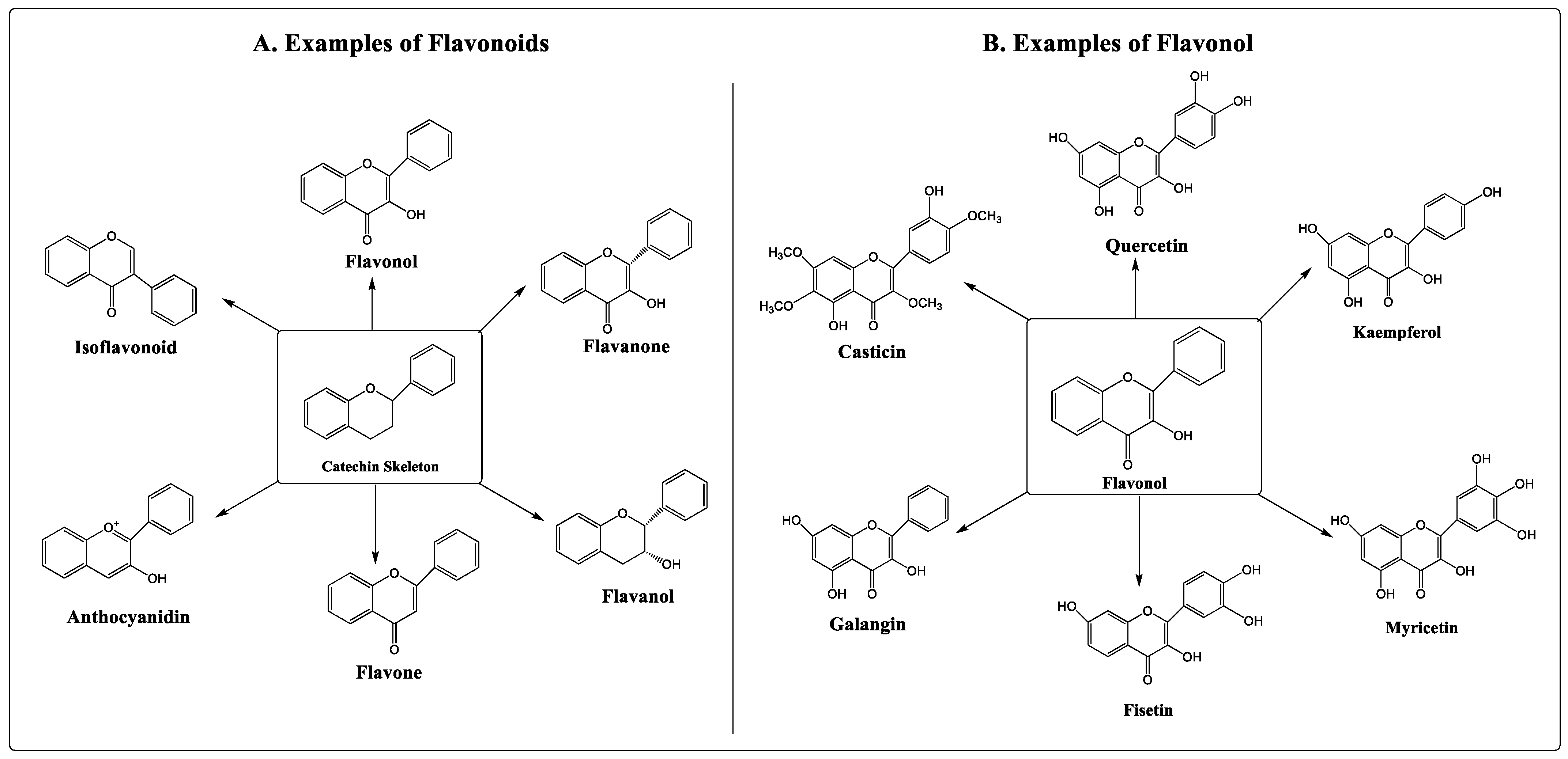 Pharmaceuticals 16 00196 g001 Pharmaceuticals 16 00196 g001