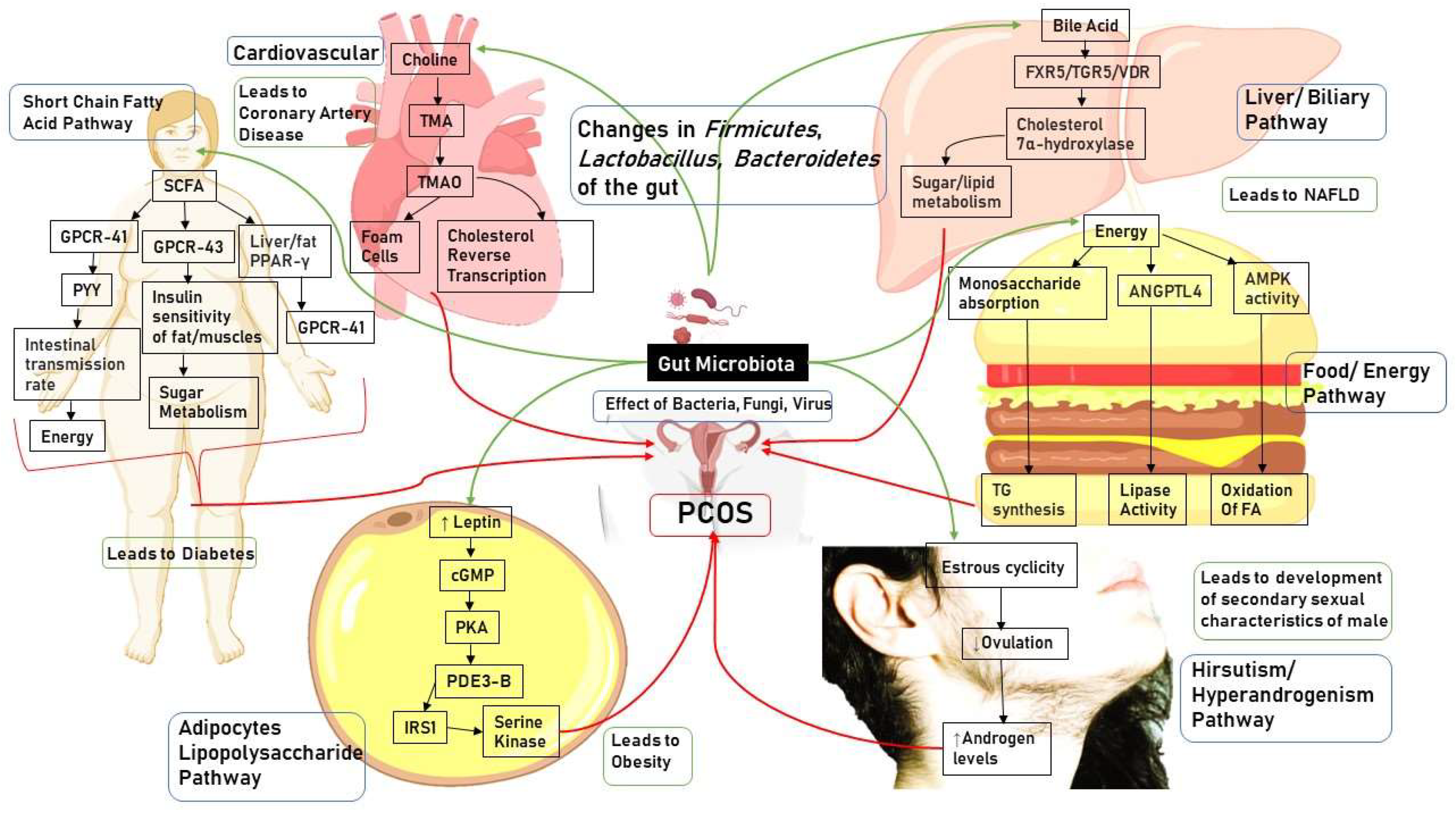 Pharmaceuticals 16 00197 g001