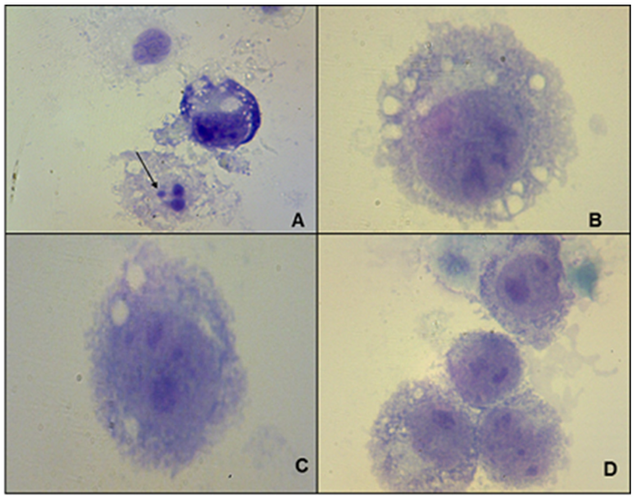 Pharmaceuticals 16 00204 g002 Pharmaceuticals 16 00204 g002