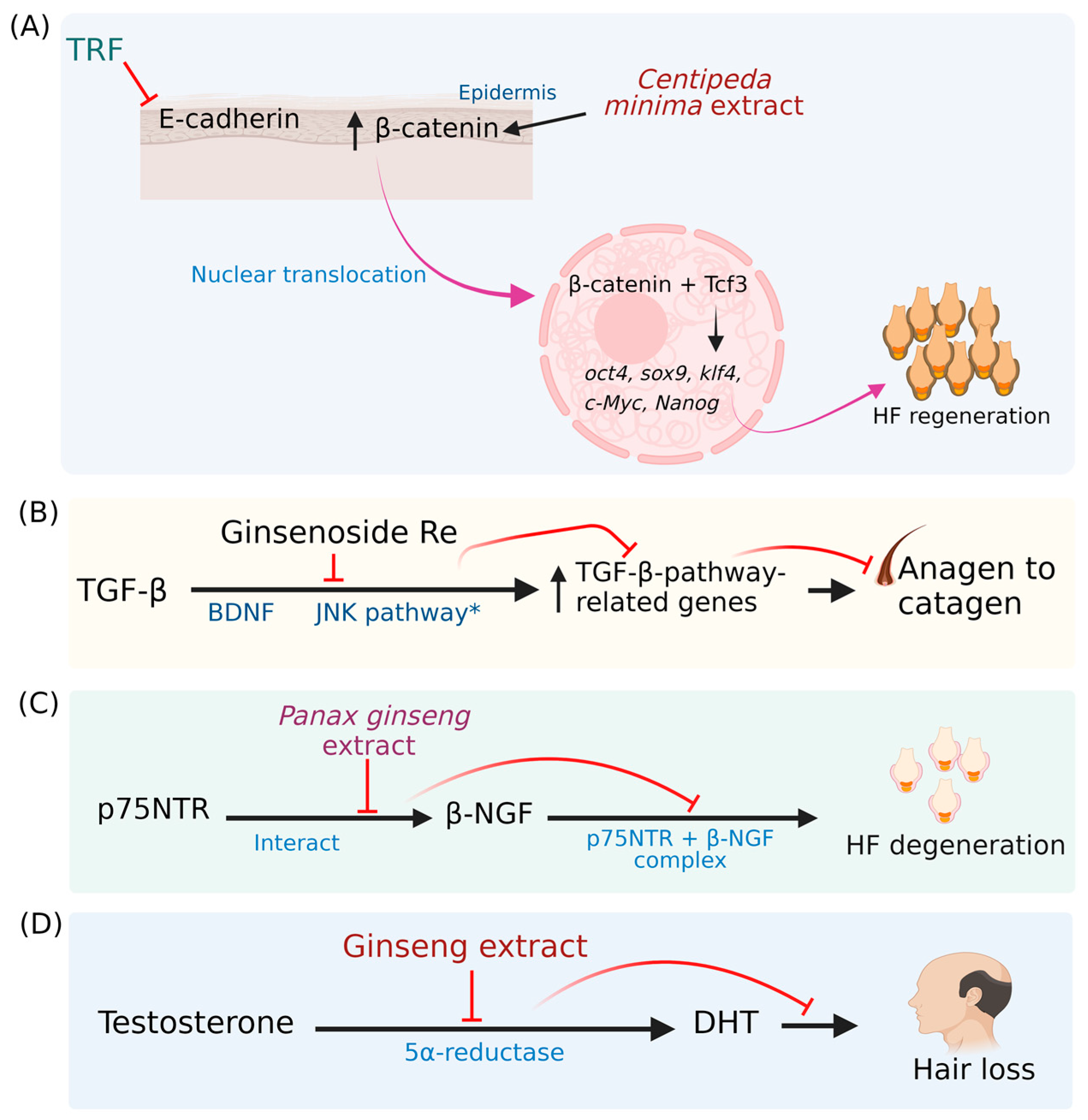Pharmaceuticals 16 00206 g002 Pharmaceuticals 16 00206 g002
