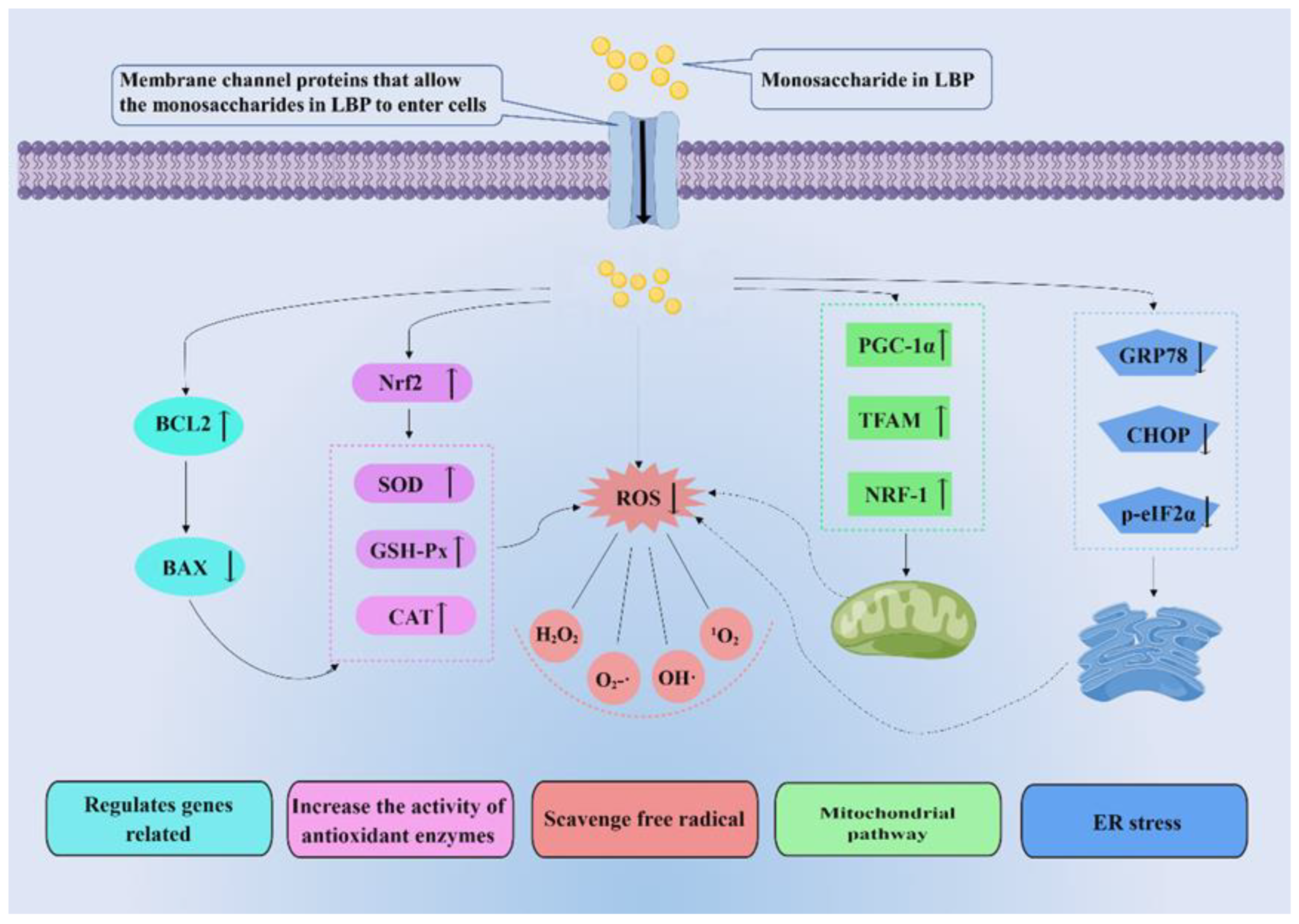 Pharmaceuticals 16 00215 g005