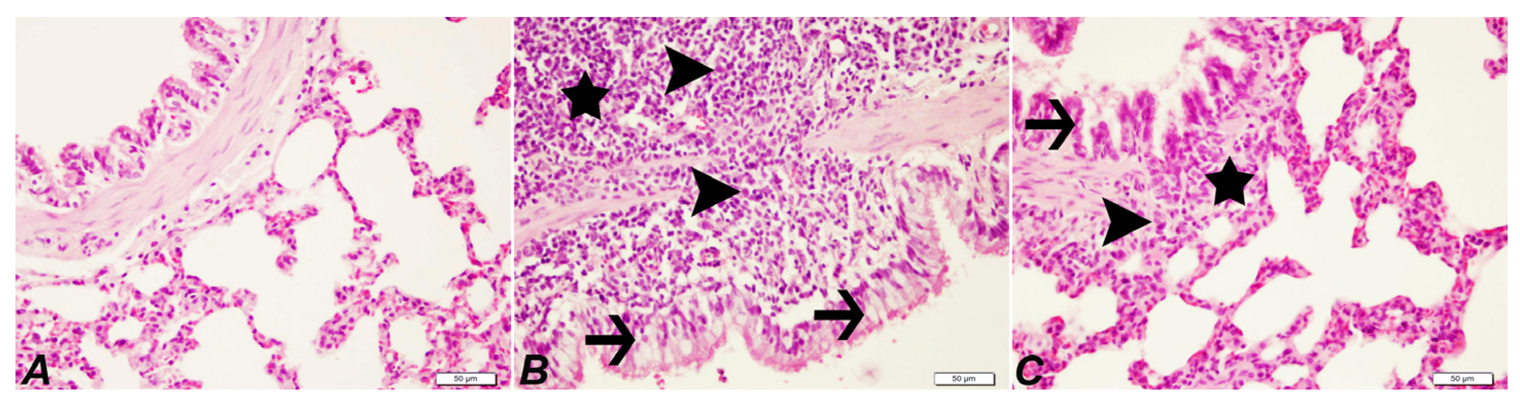 Pharmaceuticals 16 00221 g004