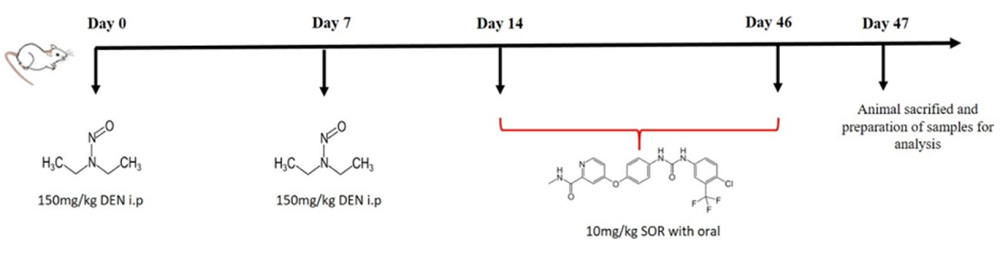 Pharmaceuticals 16 00221 g007