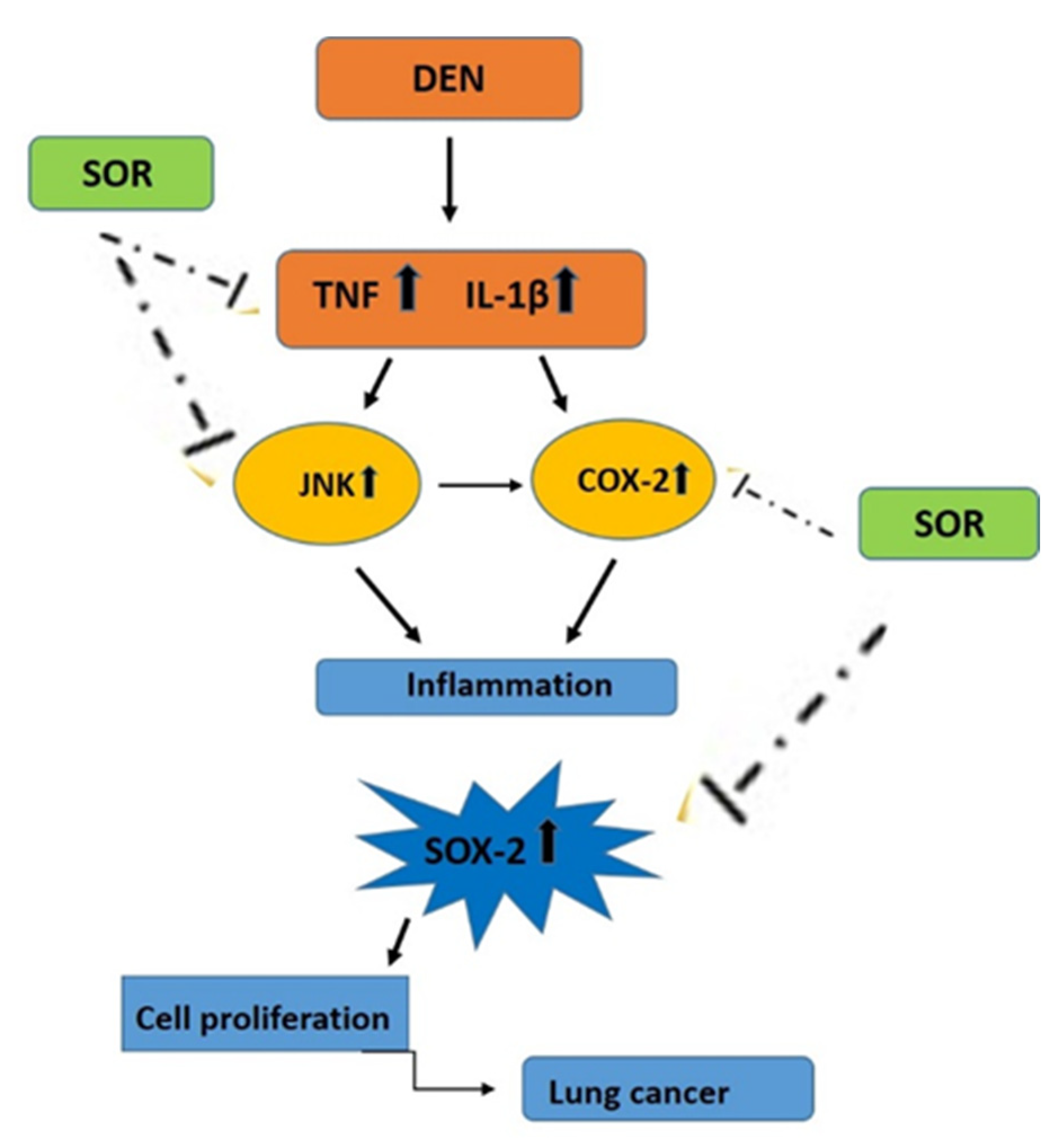 Pharmaceuticals 16 00221 g008