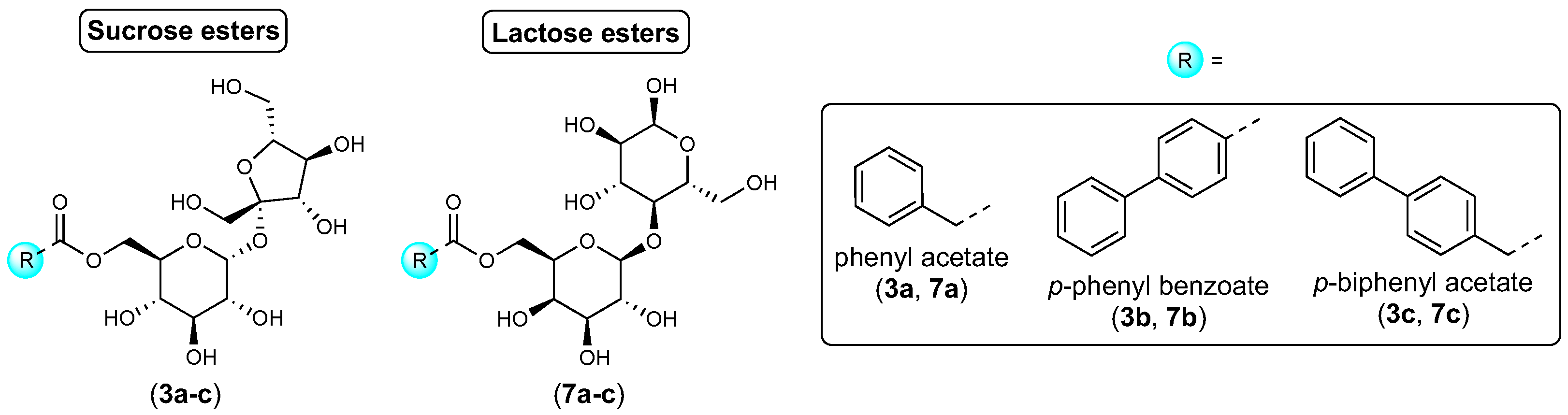 Pharmaceuticals 16 00223 g006