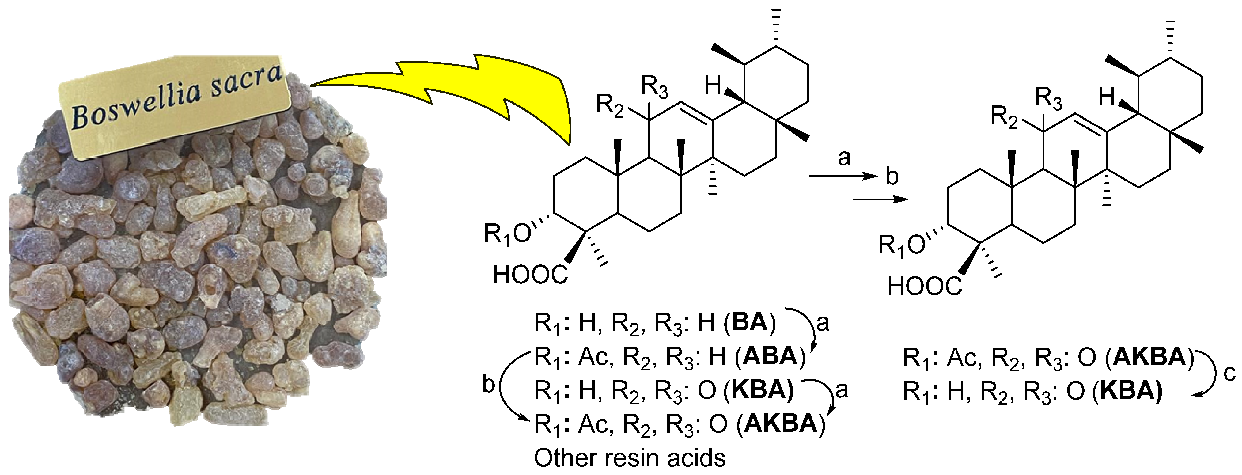 Pharmaceuticals 16 00229 sch001