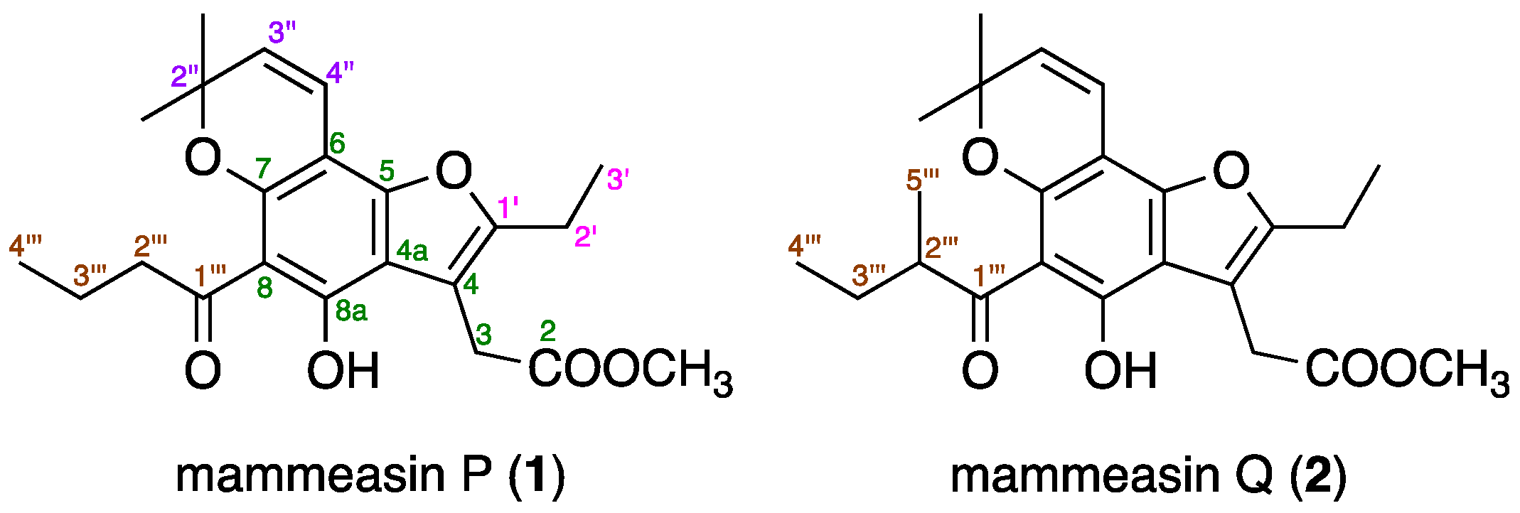 Pharmaceuticals 16 00231 g001 Pharmaceuticals 16 00231 g001