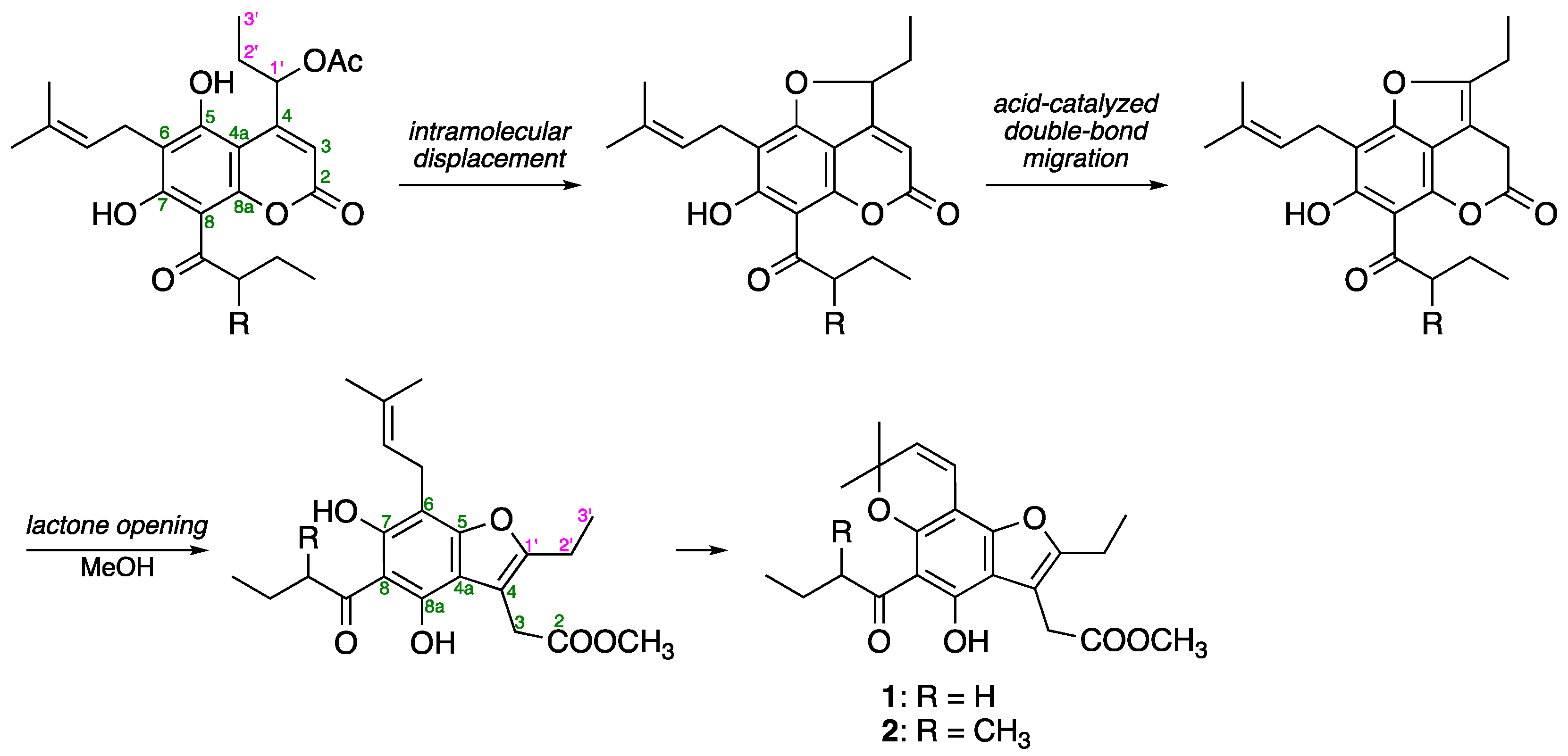 Pharmaceuticals 16 00231 g003 Pharmaceuticals 16 00231 g003