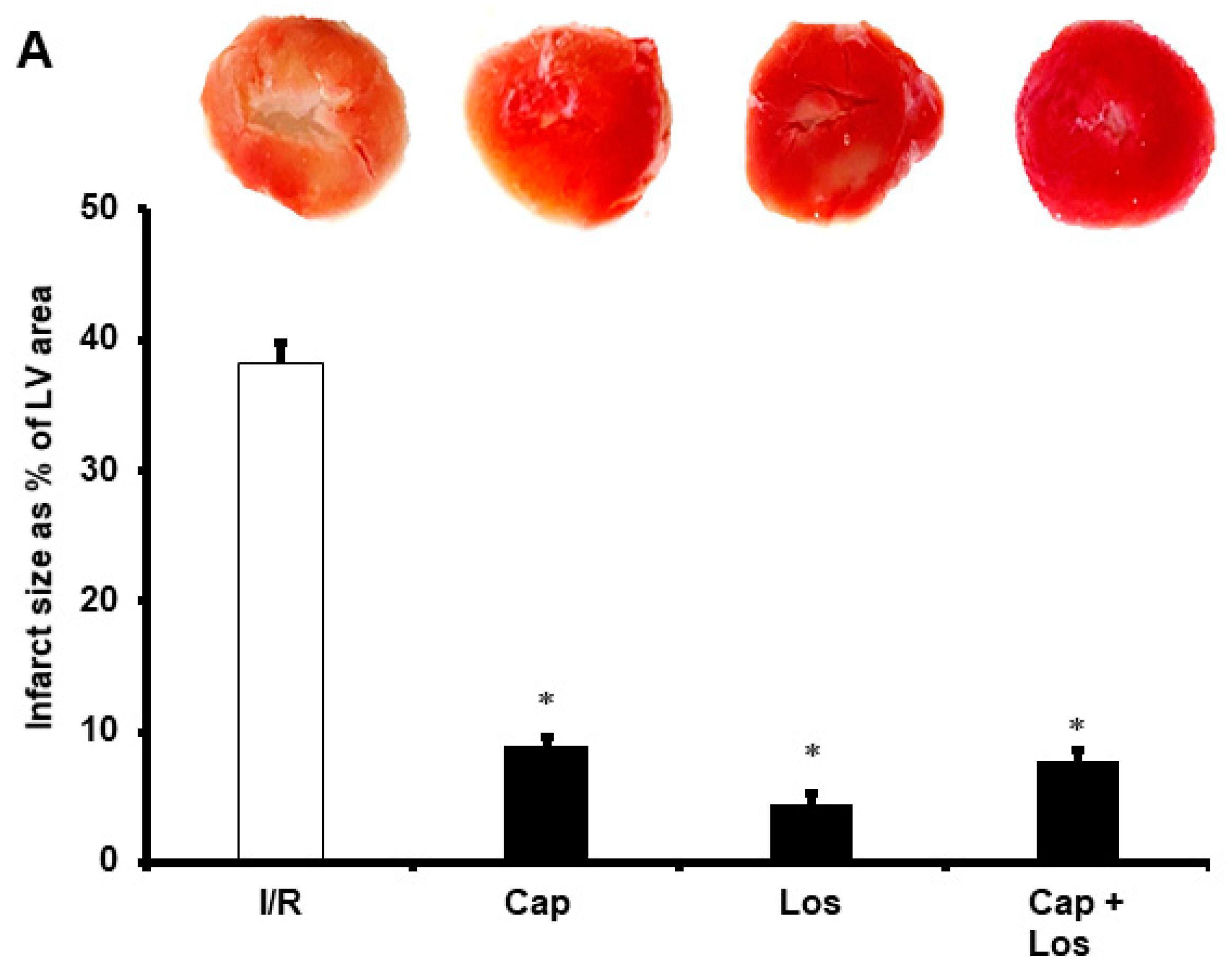 Pharmaceuticals 16 00238 g002a
