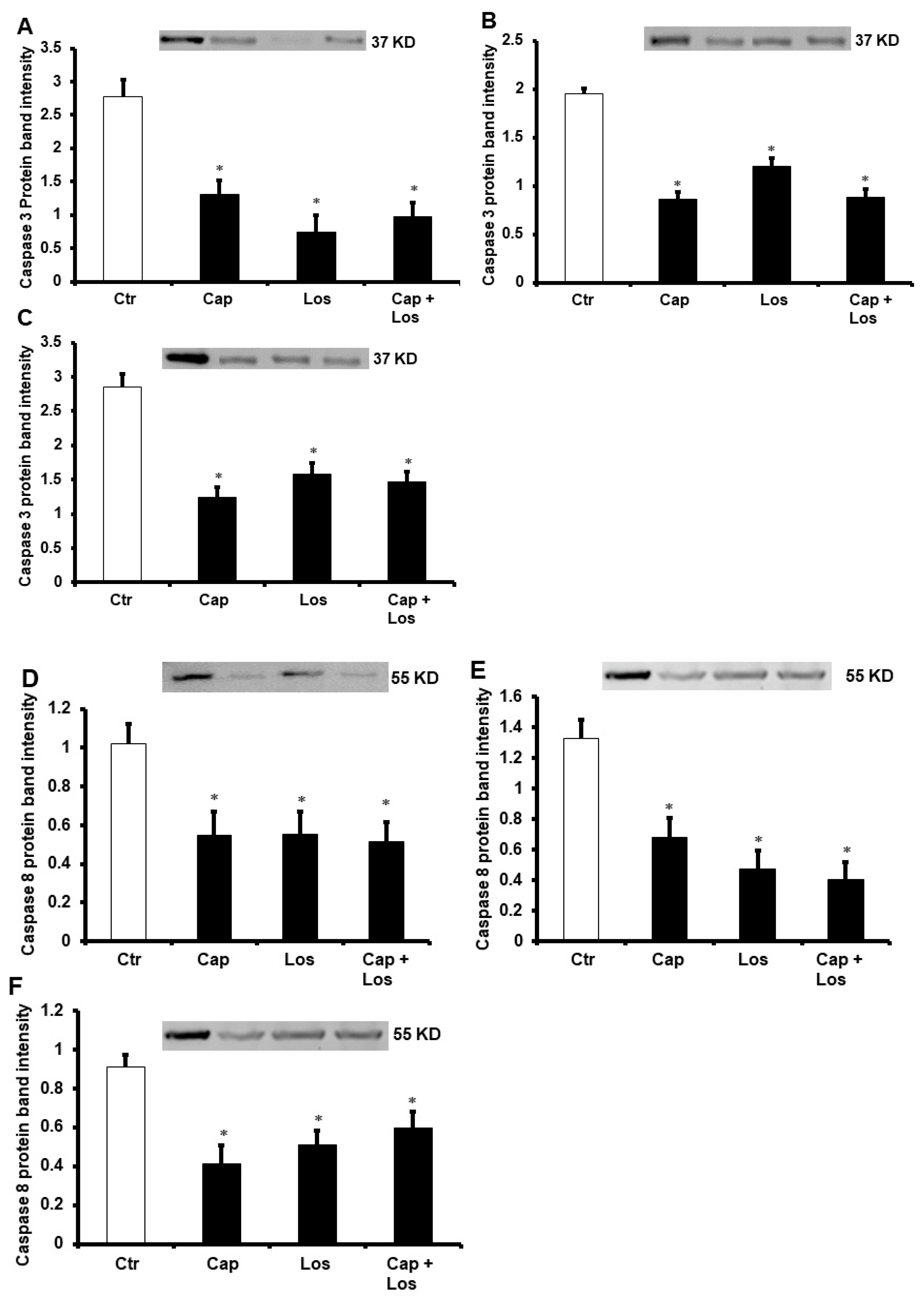 Pharmaceuticals 16 00238 g003
