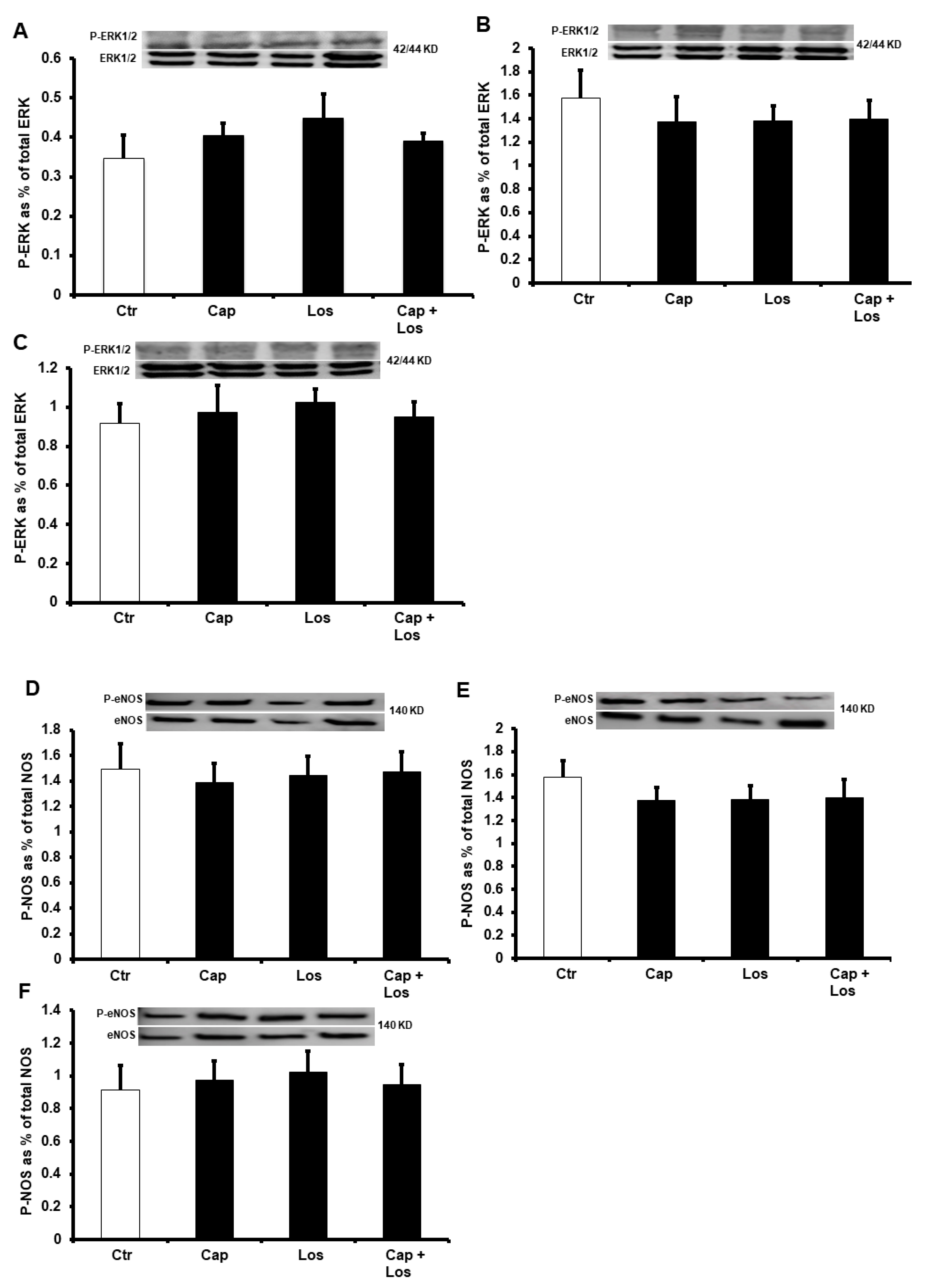 Pharmaceuticals 16 00238 g004