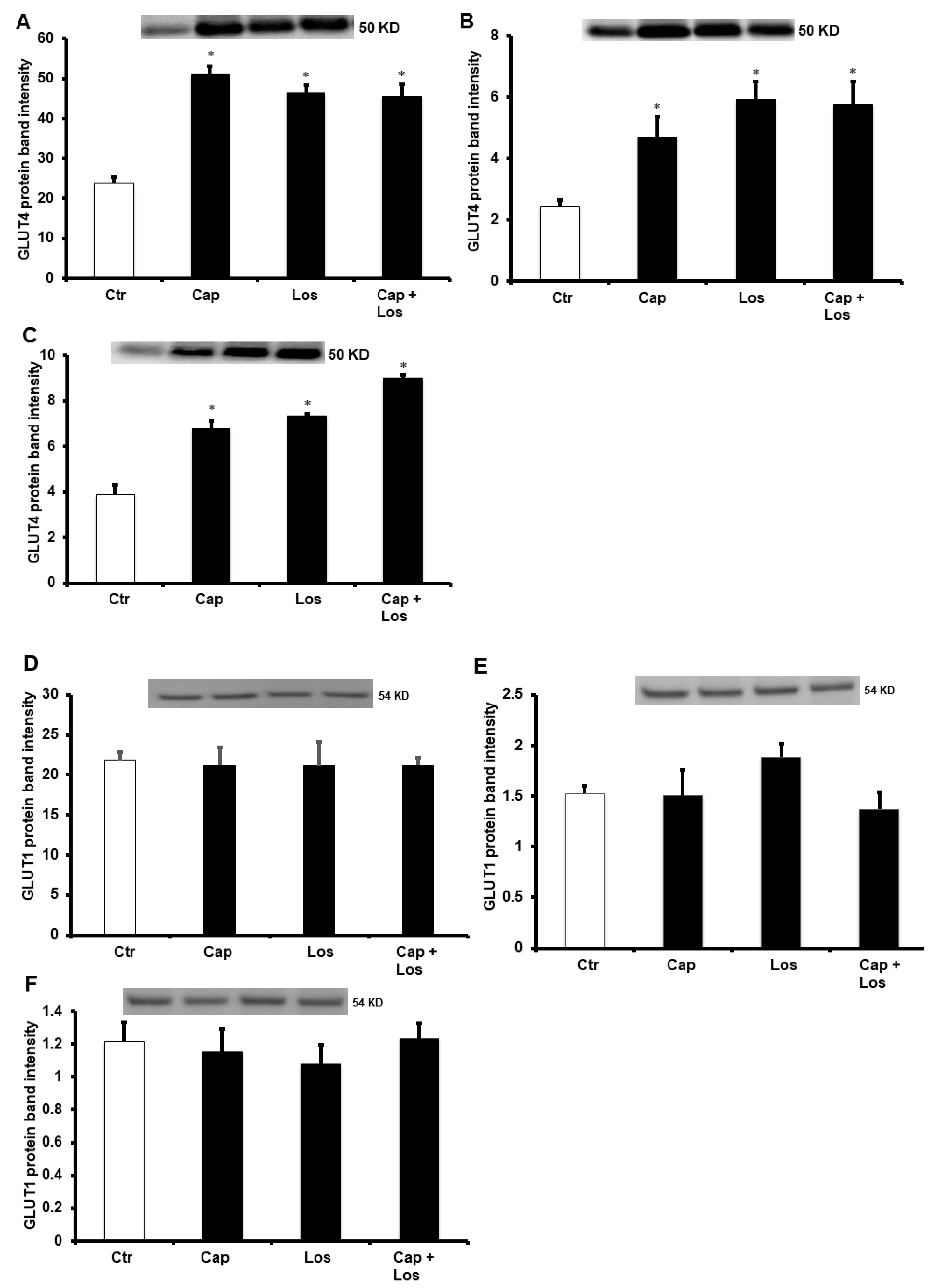 Pharmaceuticals 16 00238 g006