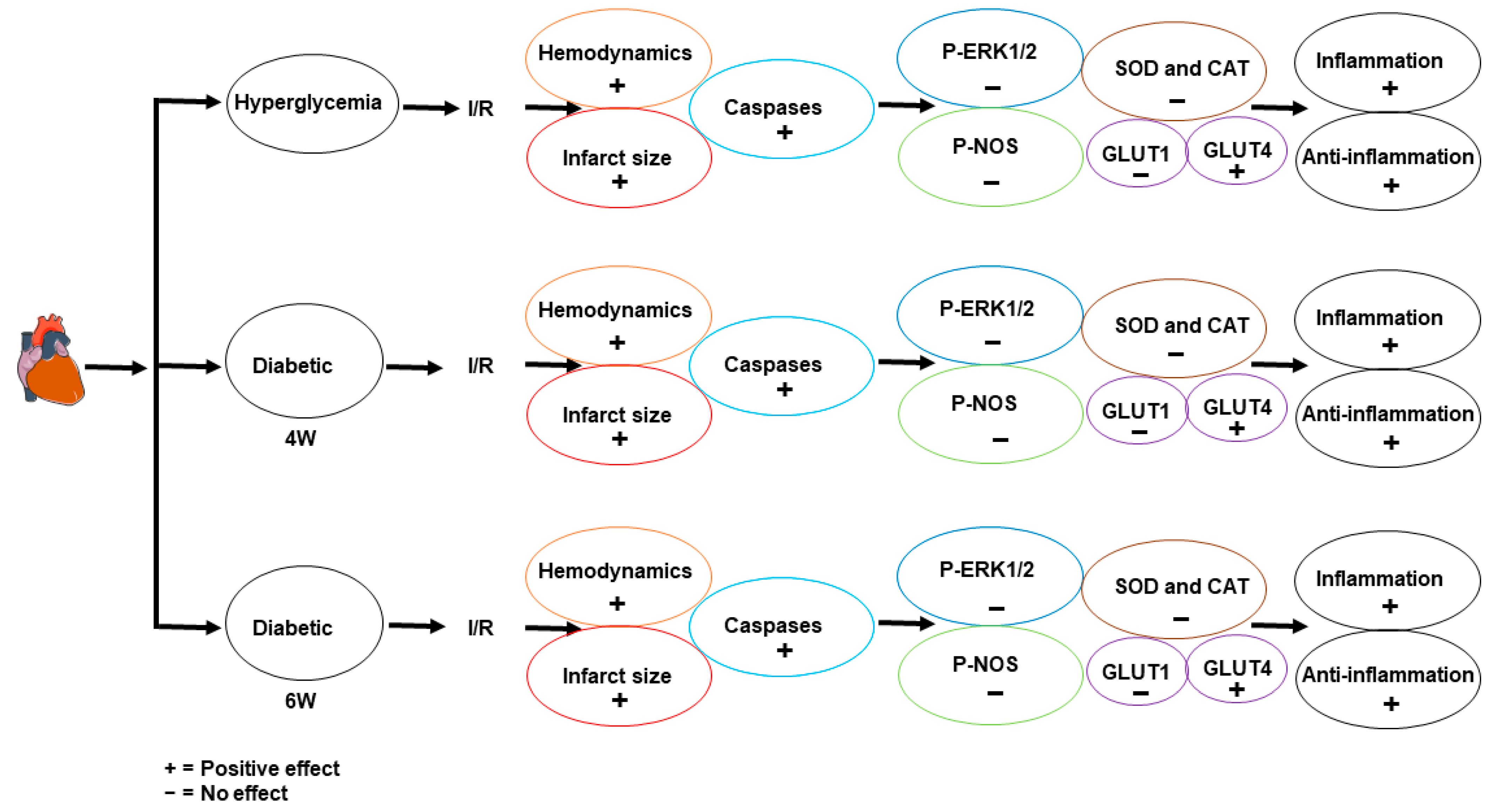 Pharmaceuticals 16 00238 g008