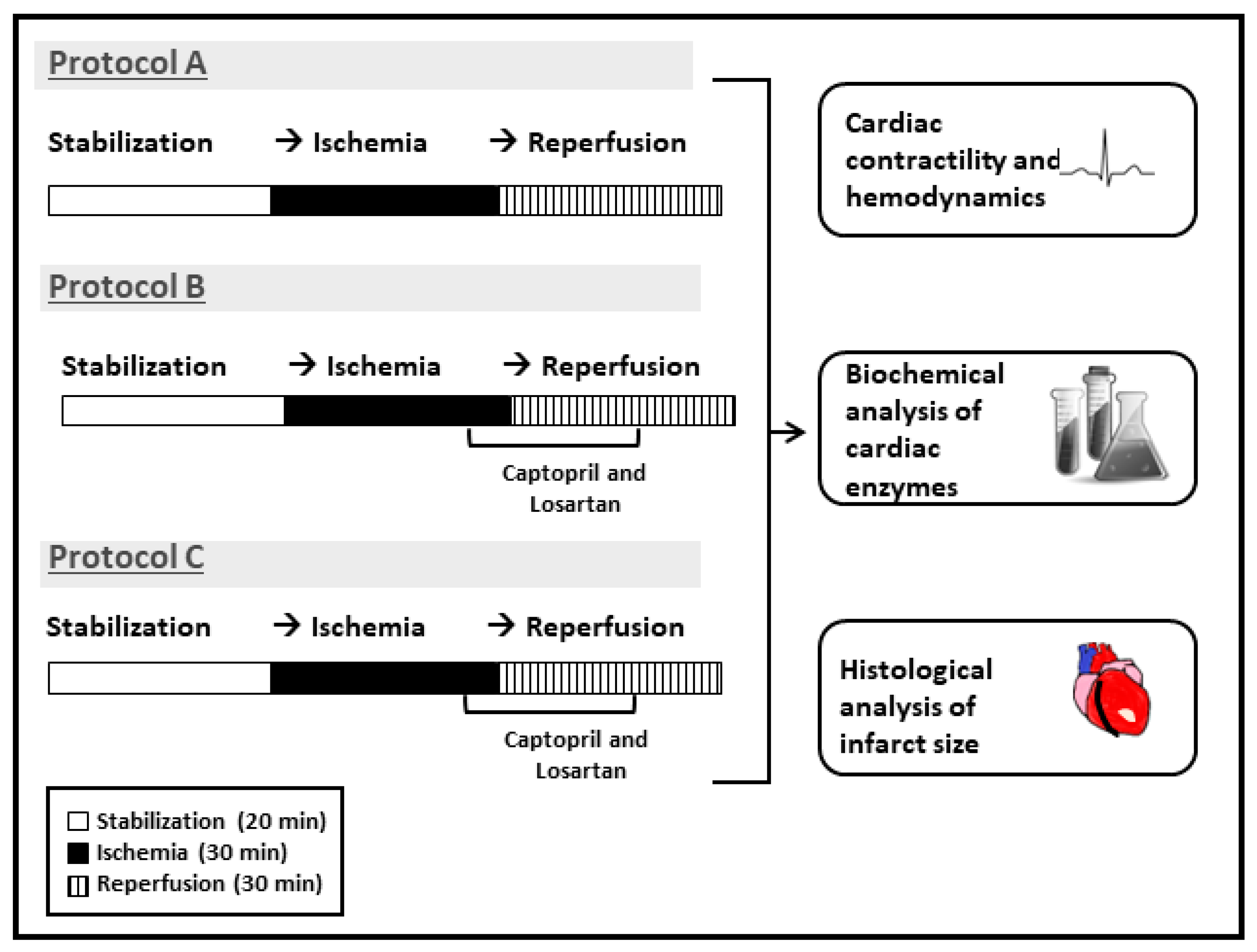 Pharmaceuticals 16 00238 g009