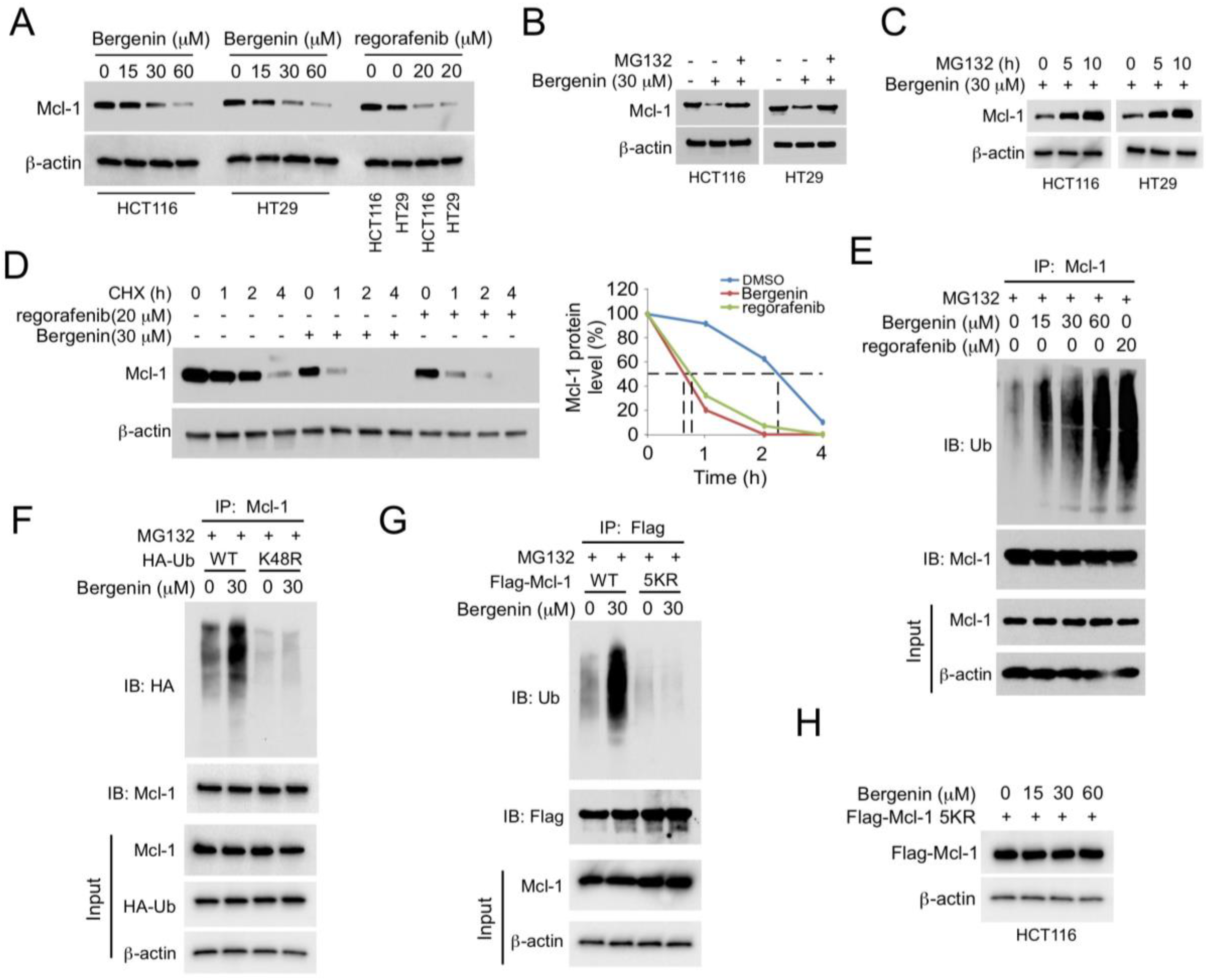 Pharmaceuticals 16 00241 g002