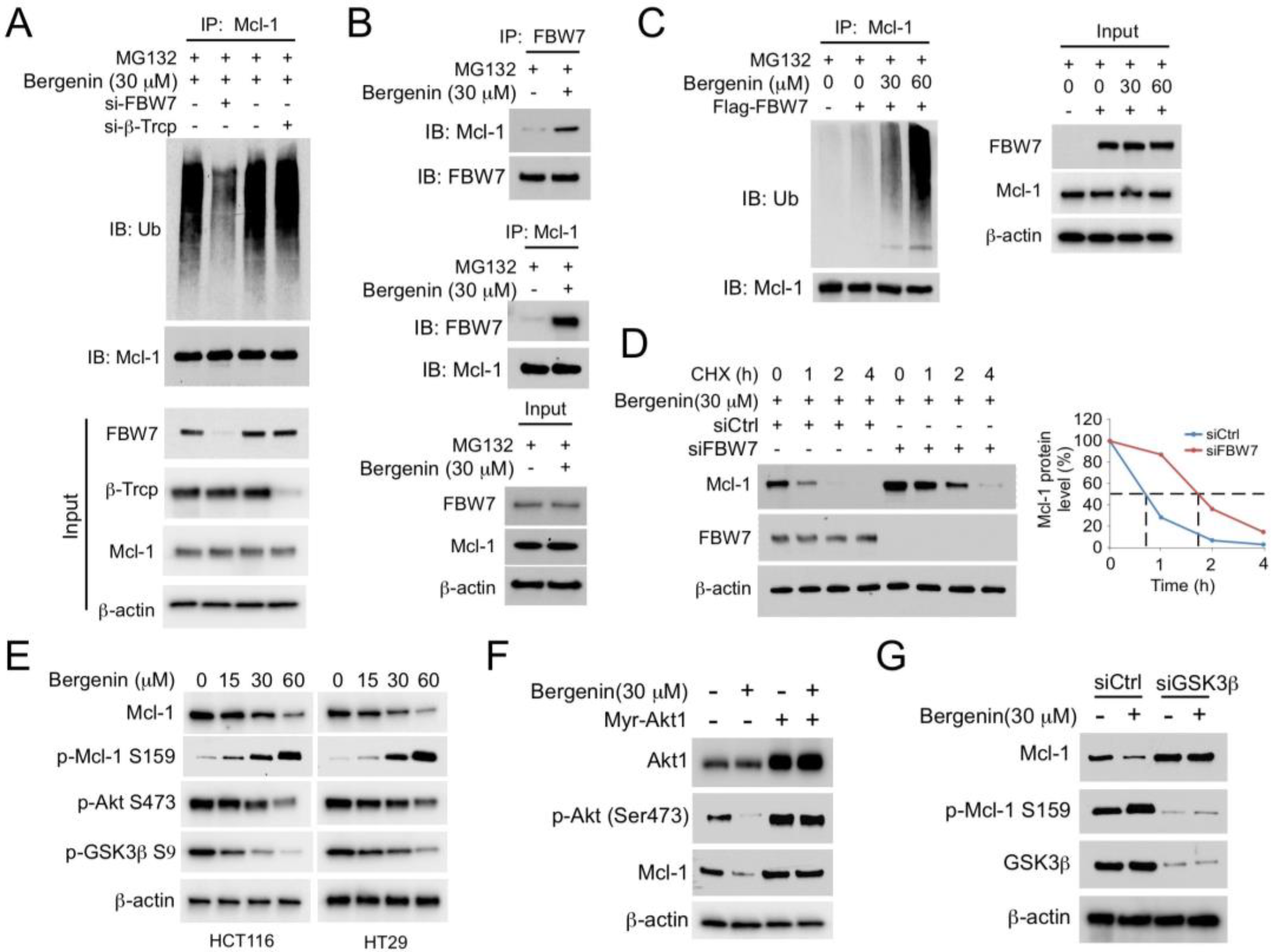 Pharmaceuticals 16 00241 g003