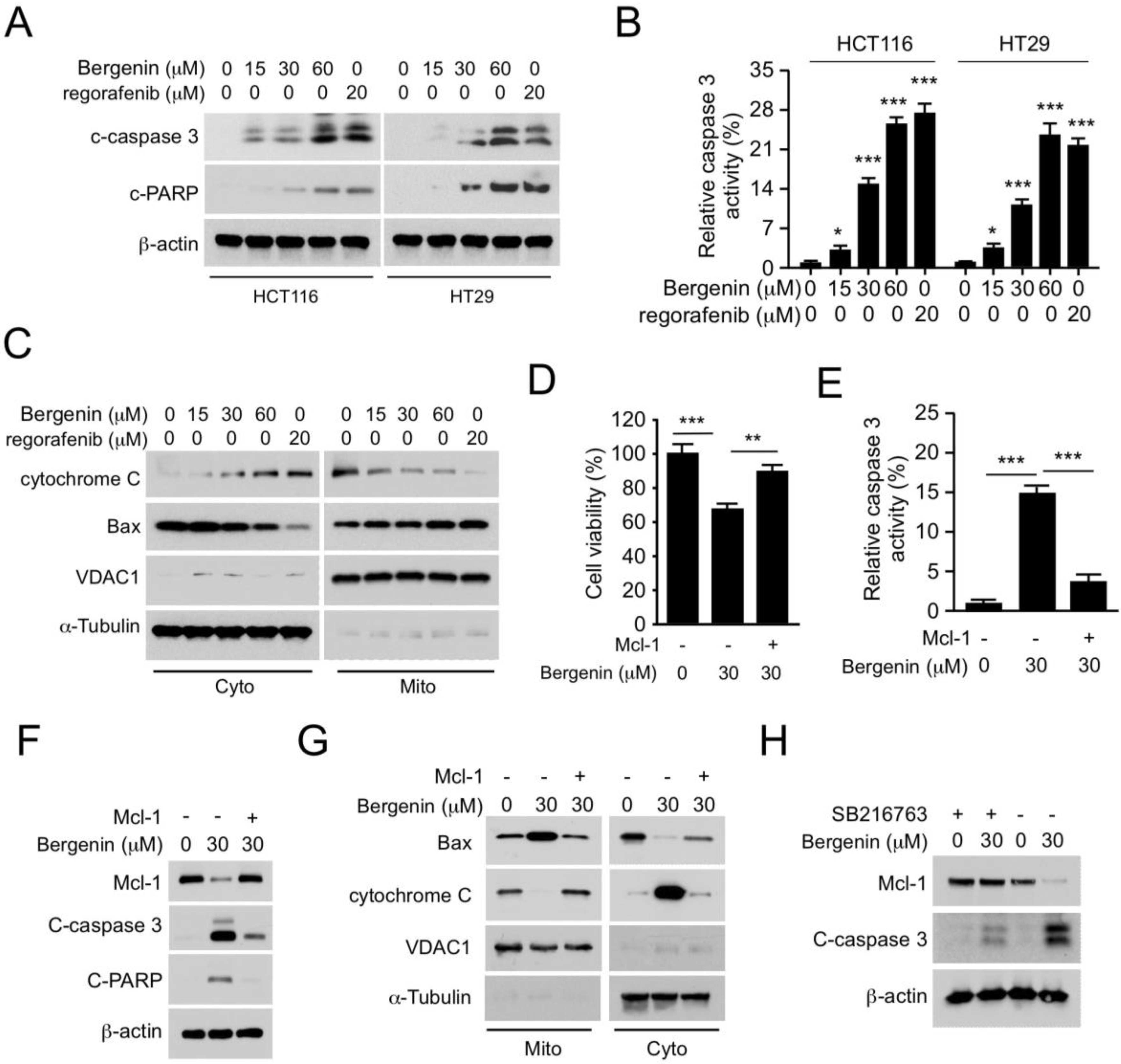 Pharmaceuticals 16 00241 g004