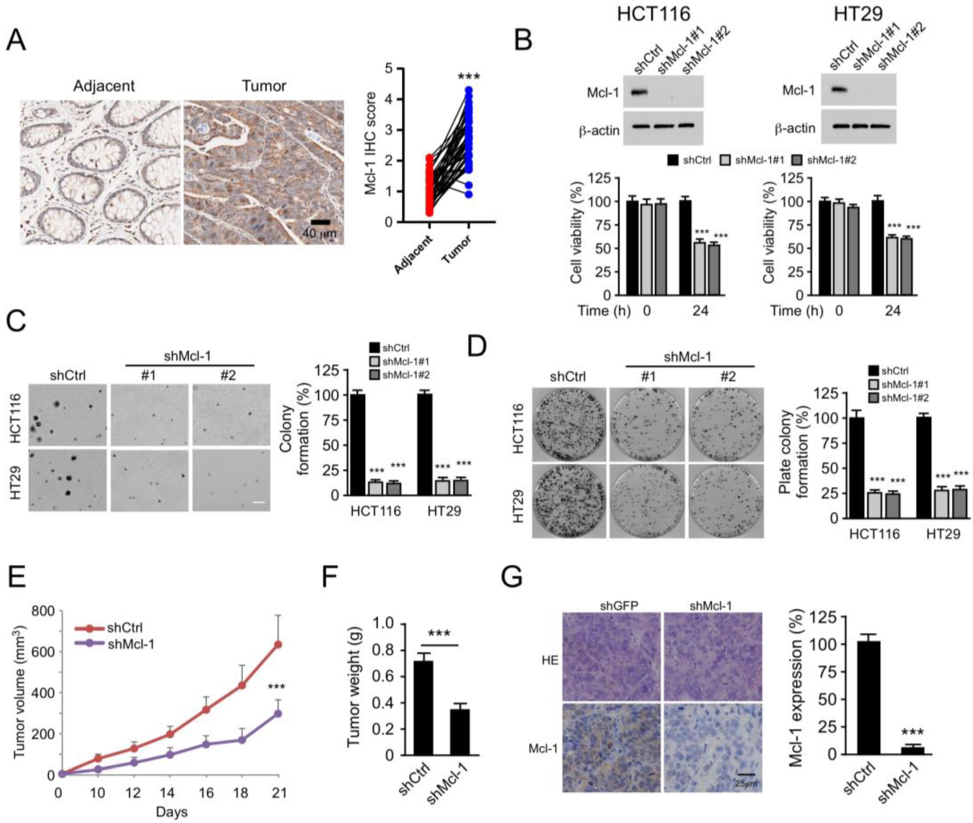 Pharmaceuticals 16 00241 g005